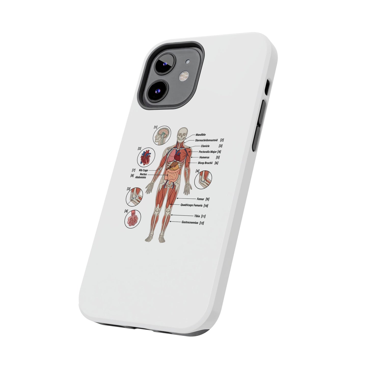 Anatomy Study Phone Case — Human Anatomy Diagram for Medical Students