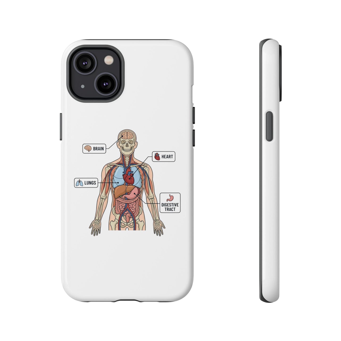 Anatomy Case — Medical Student Human Anatomy Study Aid