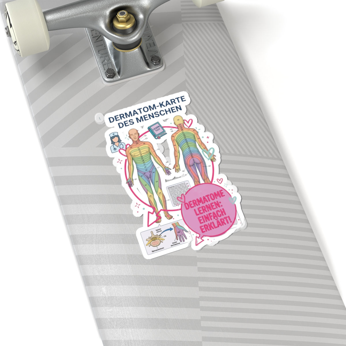 Dermatomes Anatomy Sticker | Kiss-Cut, Medical Chart, Learning Decal