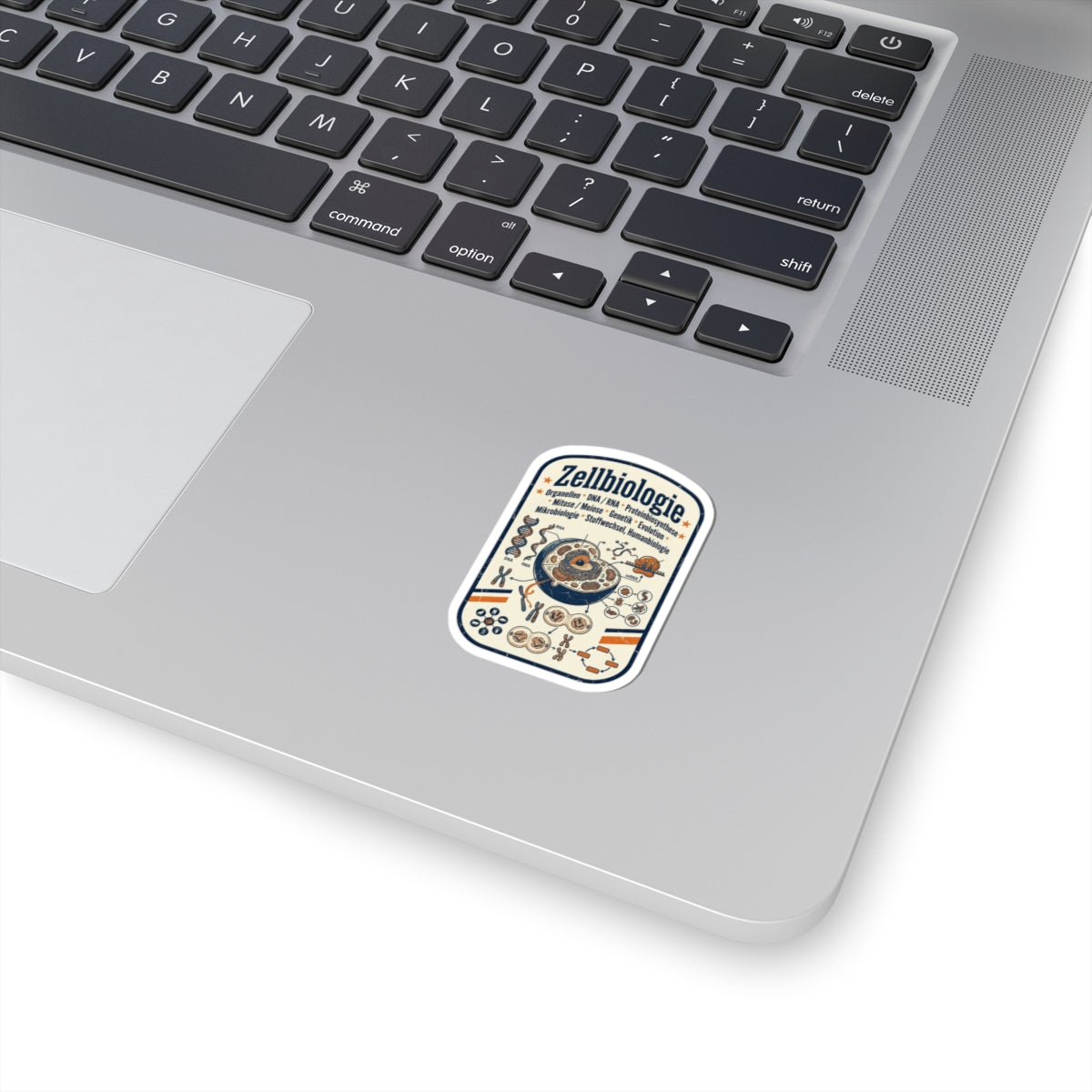 Cell Biology Diagram Kiss-Cut Sticker | NY Basketball City Pride