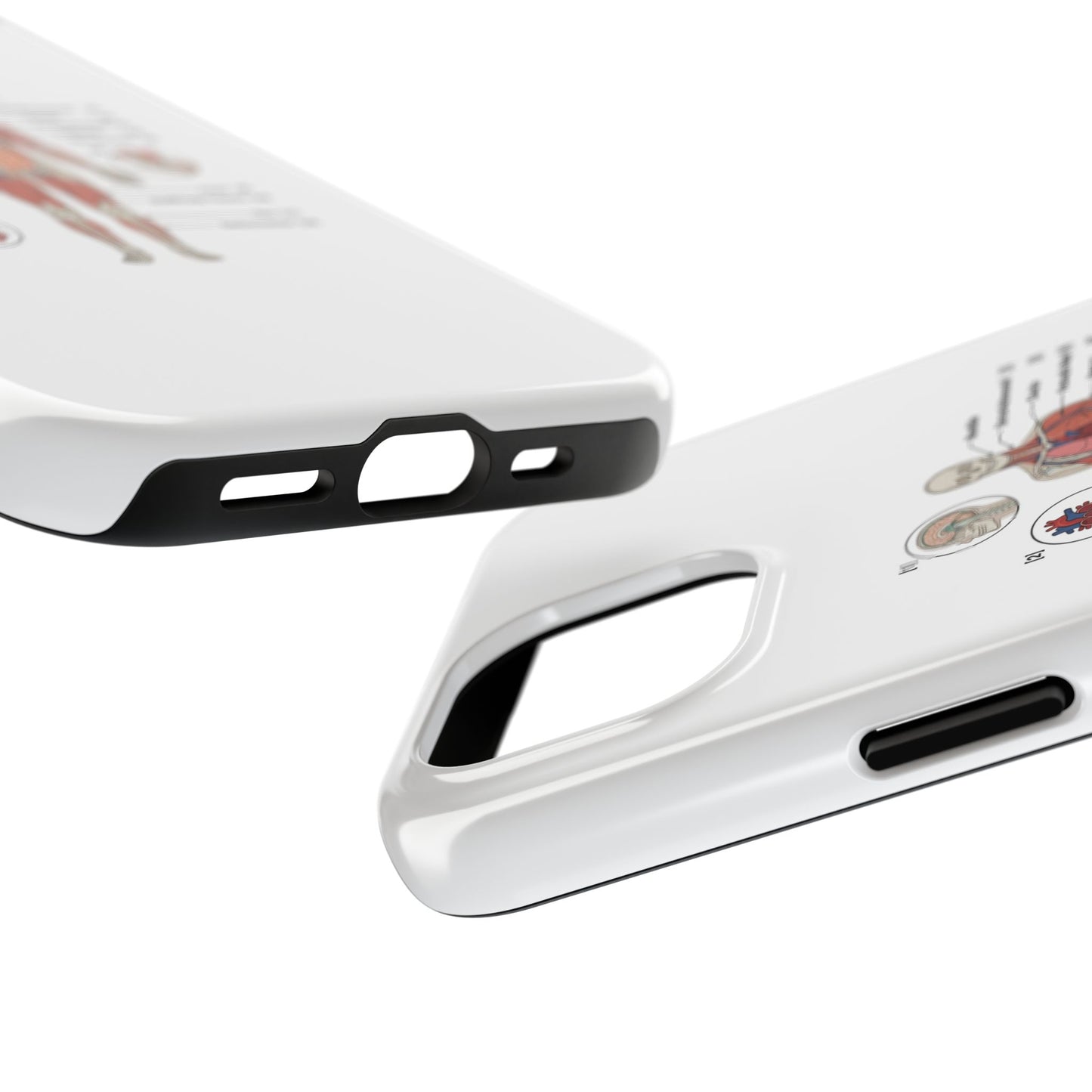 Anatomy Study Phone Case — Human Anatomy Diagram for Medical Students