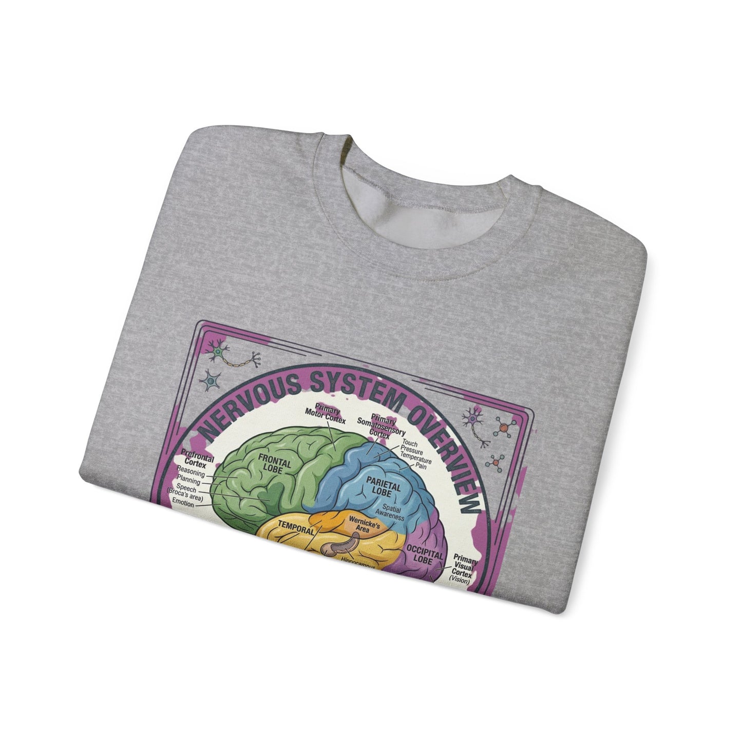250th Anniversary Patriotic Brain Diagram Sweatshirt | 4th of July Centennial Trend