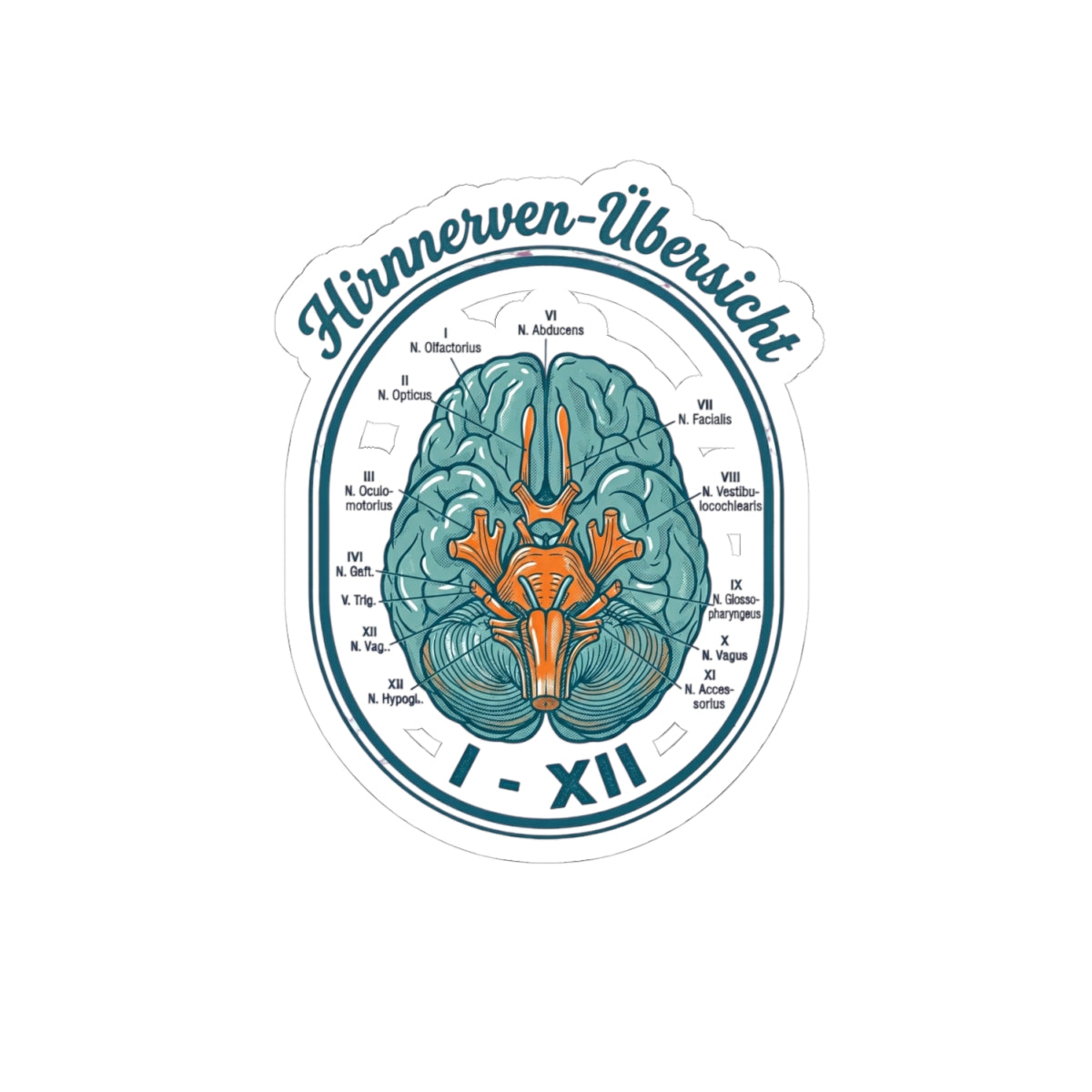 Anatomical Brain Illustration Kiss-Cut Stickers | Book Girl Summer, Literary Aesthetic