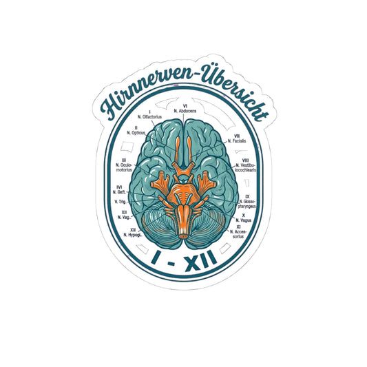Anatomical Brain Illustration Kiss-Cut Stickers | Book Girl Summer, Literary Aesthetic