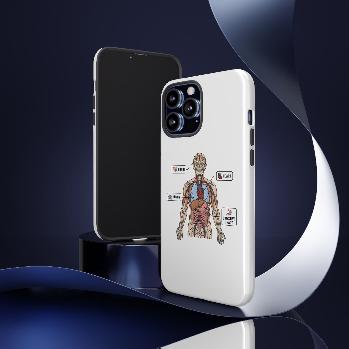 Anatomy Case — Medical Student Human Anatomy Study Aid