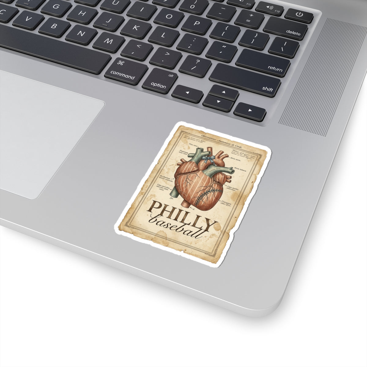 Philly Baseball Anatomical Heart Sticker | City Pride, Sports Fan Decal