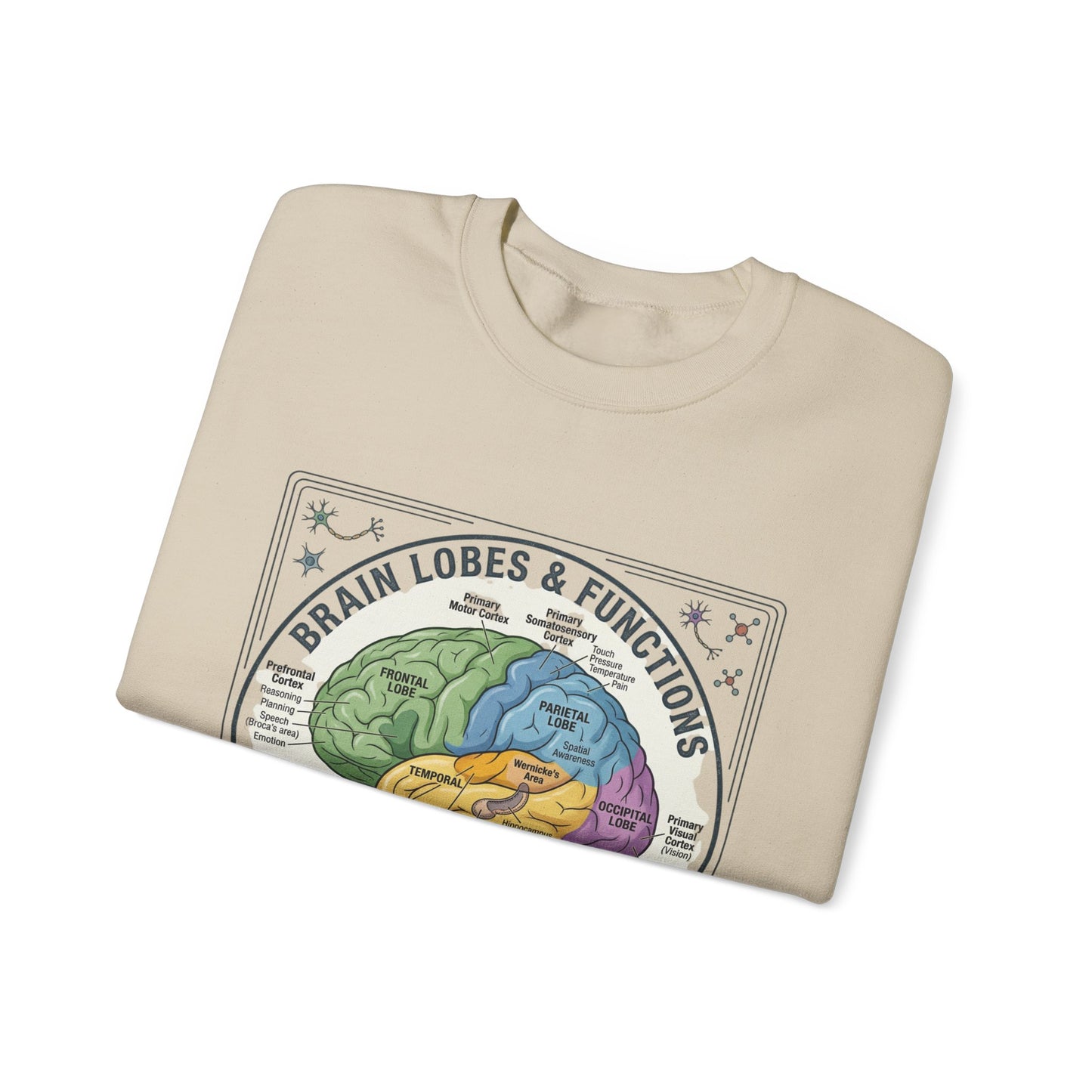 Brain Lobes Diagram Sweatshirt | 250th 4th of July Patriotic Milestone