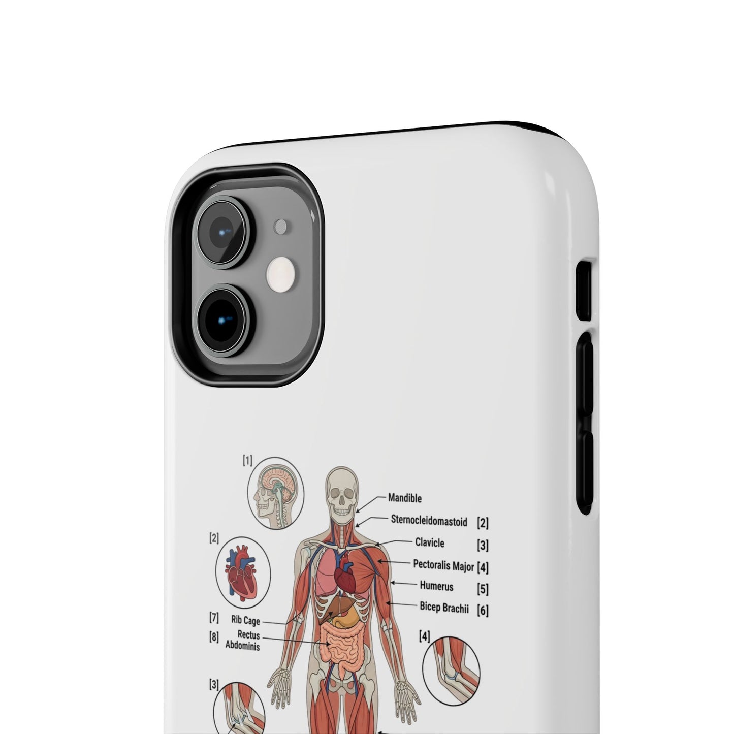 Anatomy Study Phone Case — Human Anatomy Diagram for Medical Students