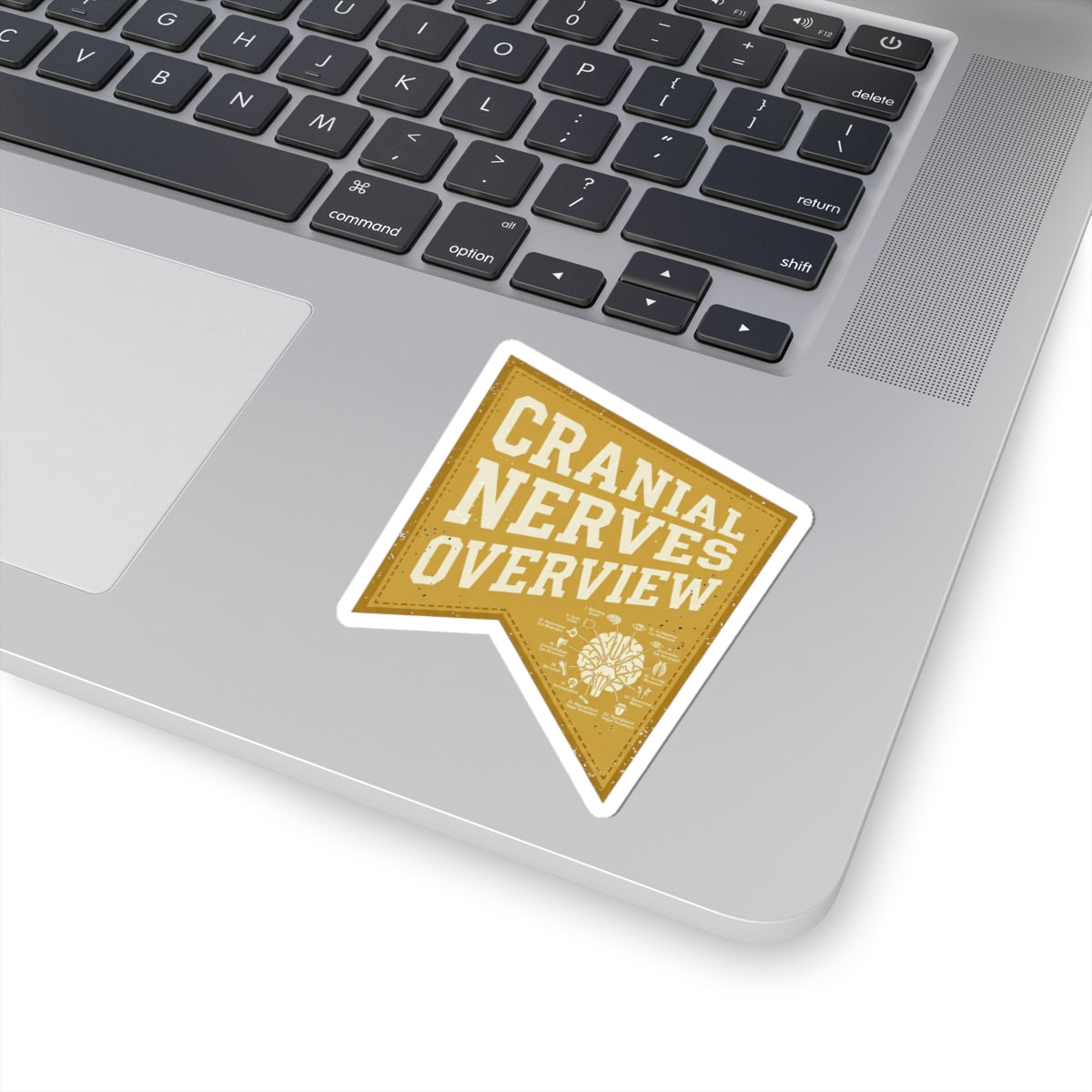 Retro Tiger Patch Sticker | Easy Tiger, Vacation Vibes