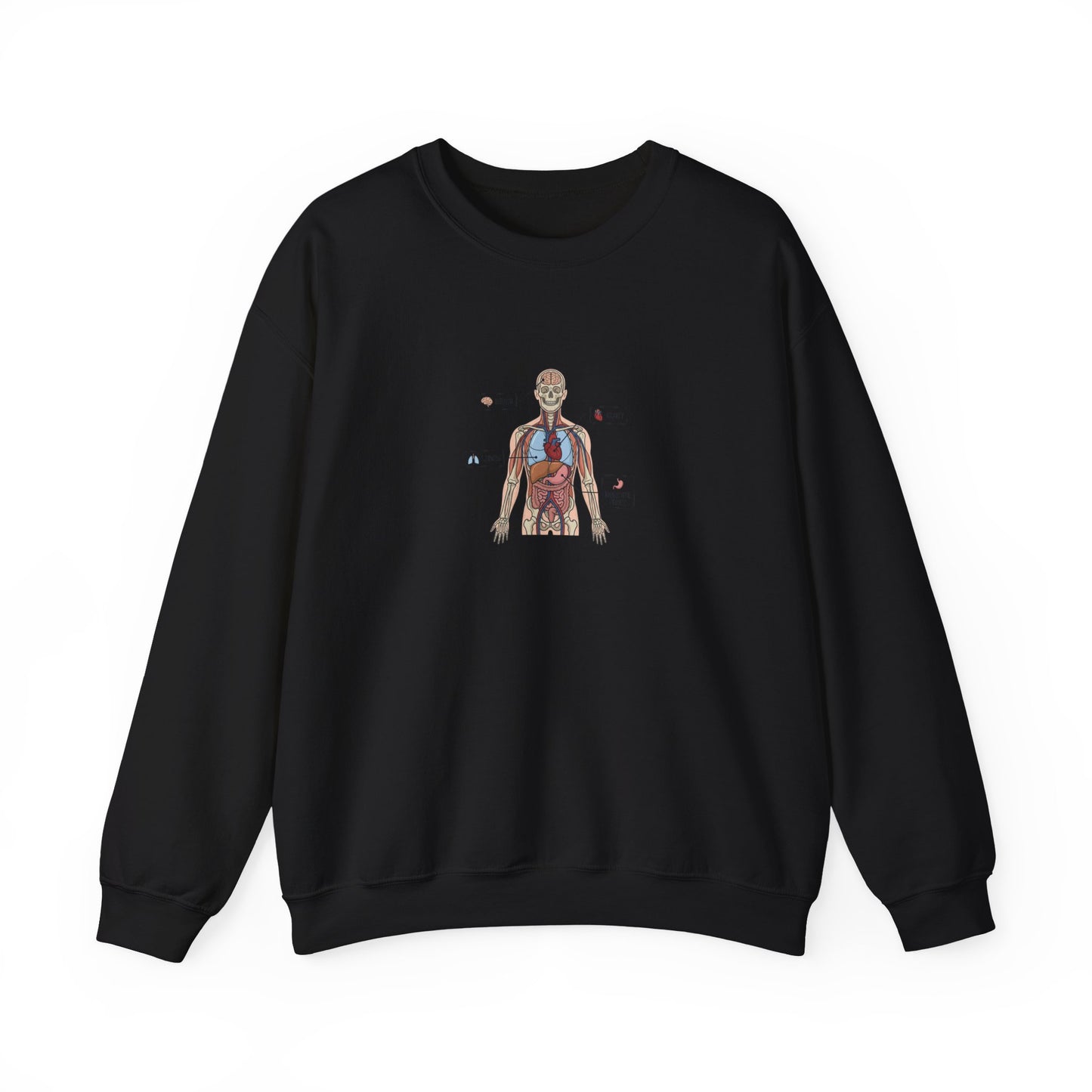 Anatomy Study Crewneck Sweatshirt — Human Anatomy Diagram for Medical Students