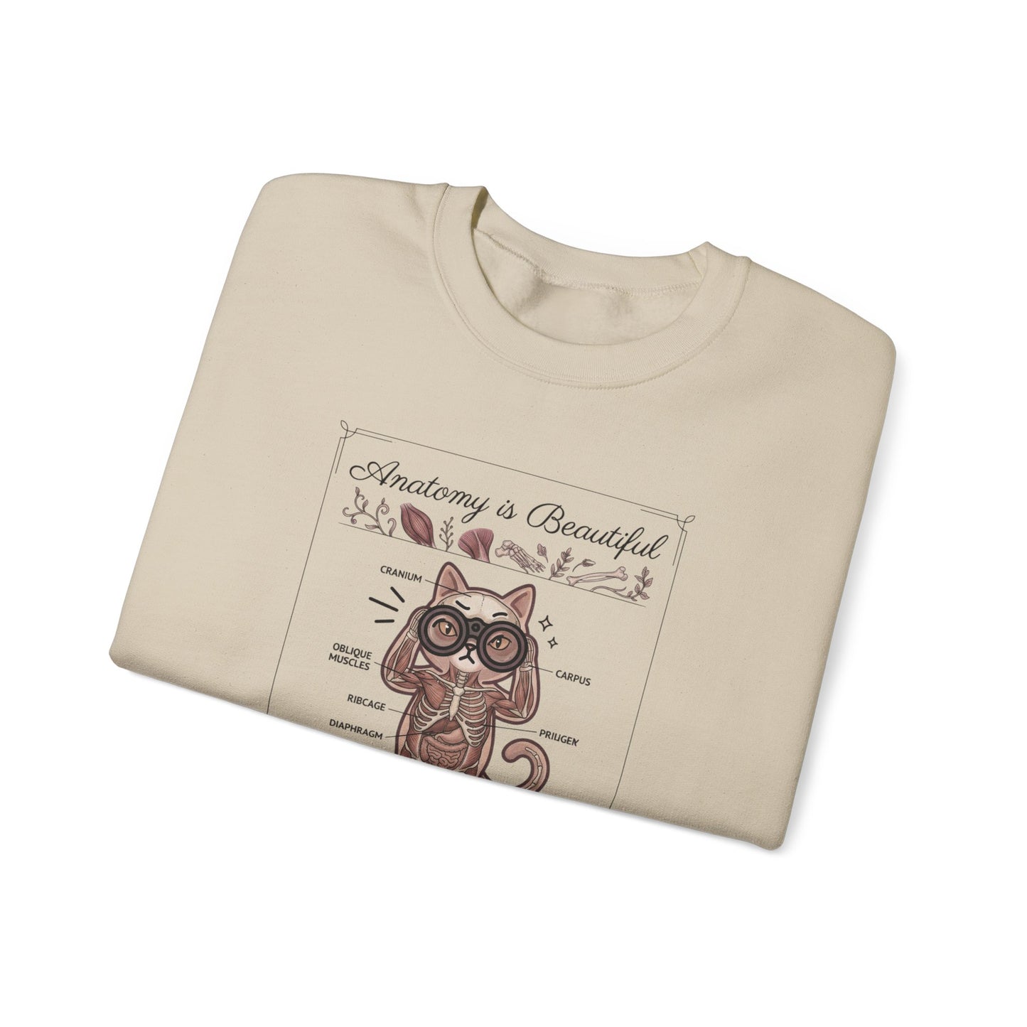 Anatomy Is Beautiful Cat Graphic Sweatshirt | Cat-Centric Novelty, Doodle Illustration