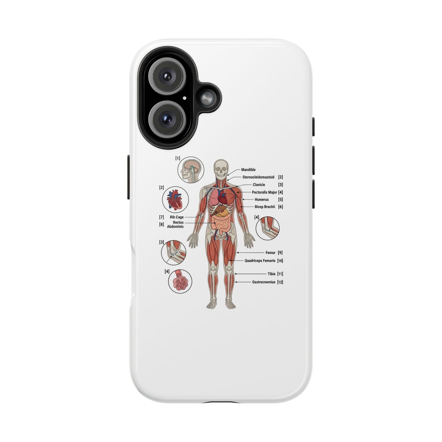 Anatomy Study Phone Case — Human Anatomy Diagram for Medical Students