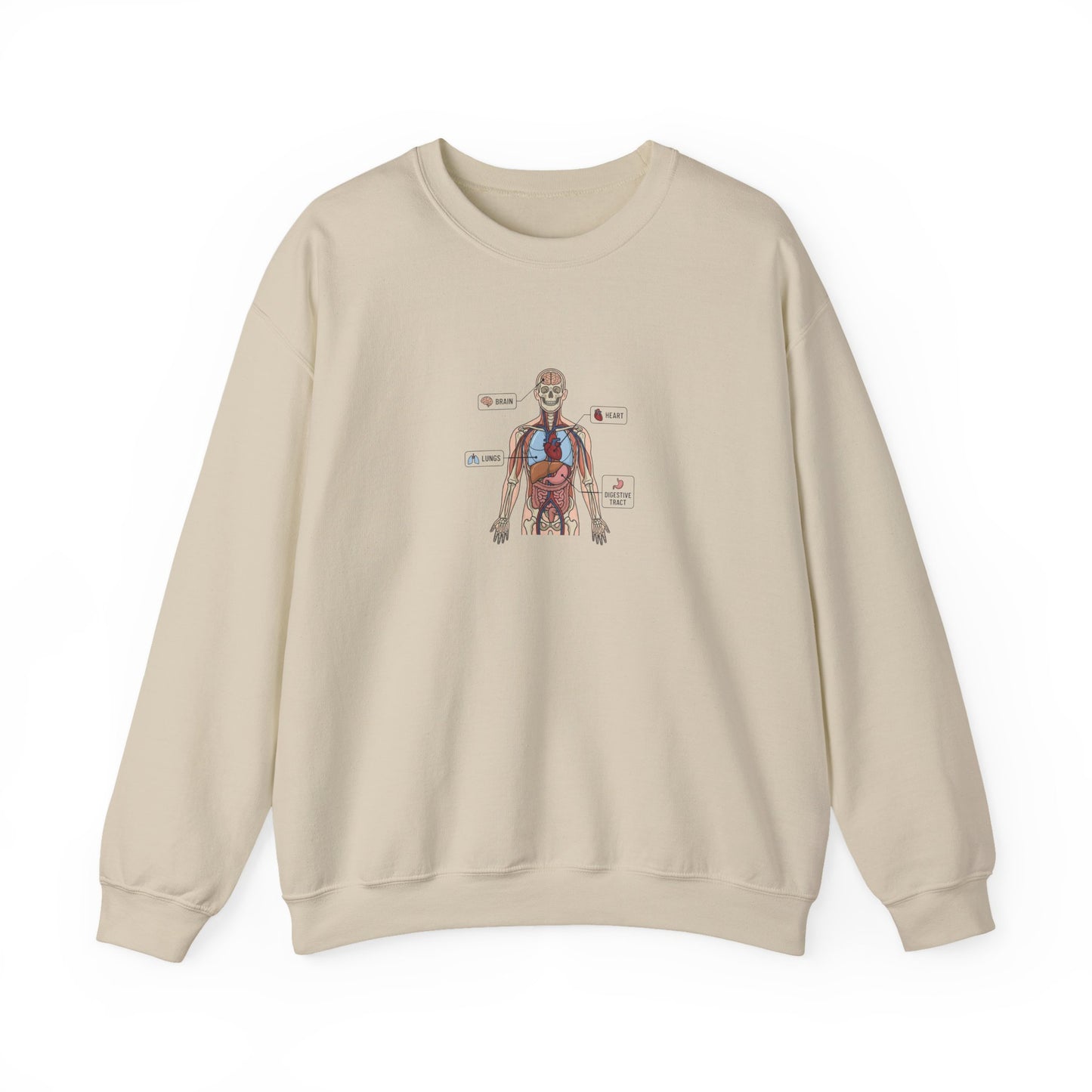 Anatomy Study Crewneck Sweatshirt — Human Anatomy Diagram for Medical Students