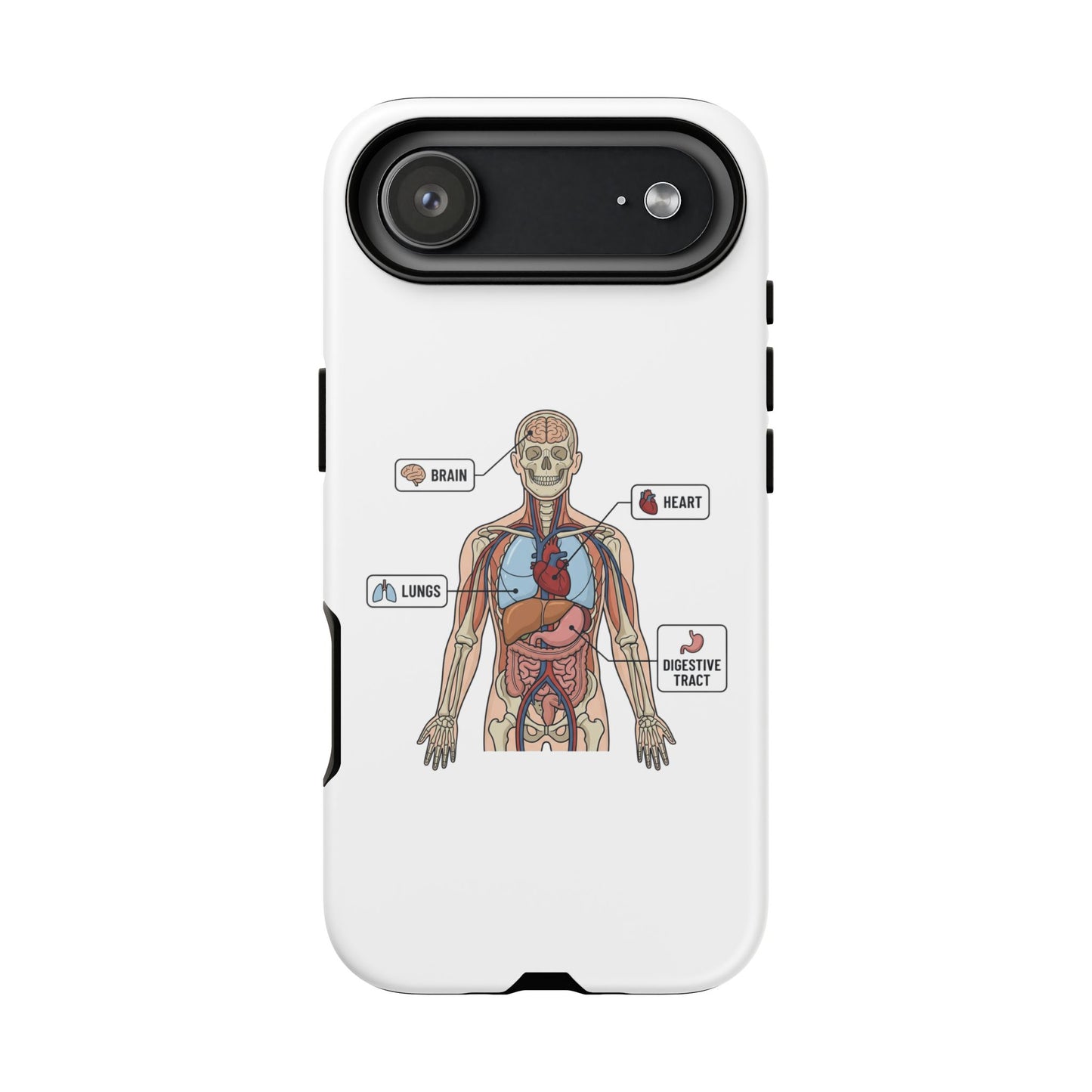 Anatomy Case — Medical Student Human Anatomy Study Aid