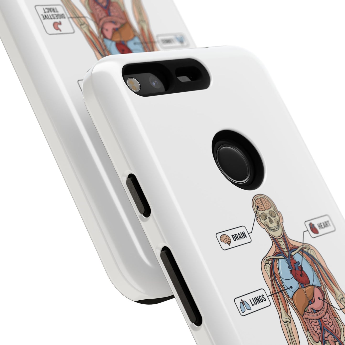Anatomy Case — Medical Student Human Anatomy Study Aid