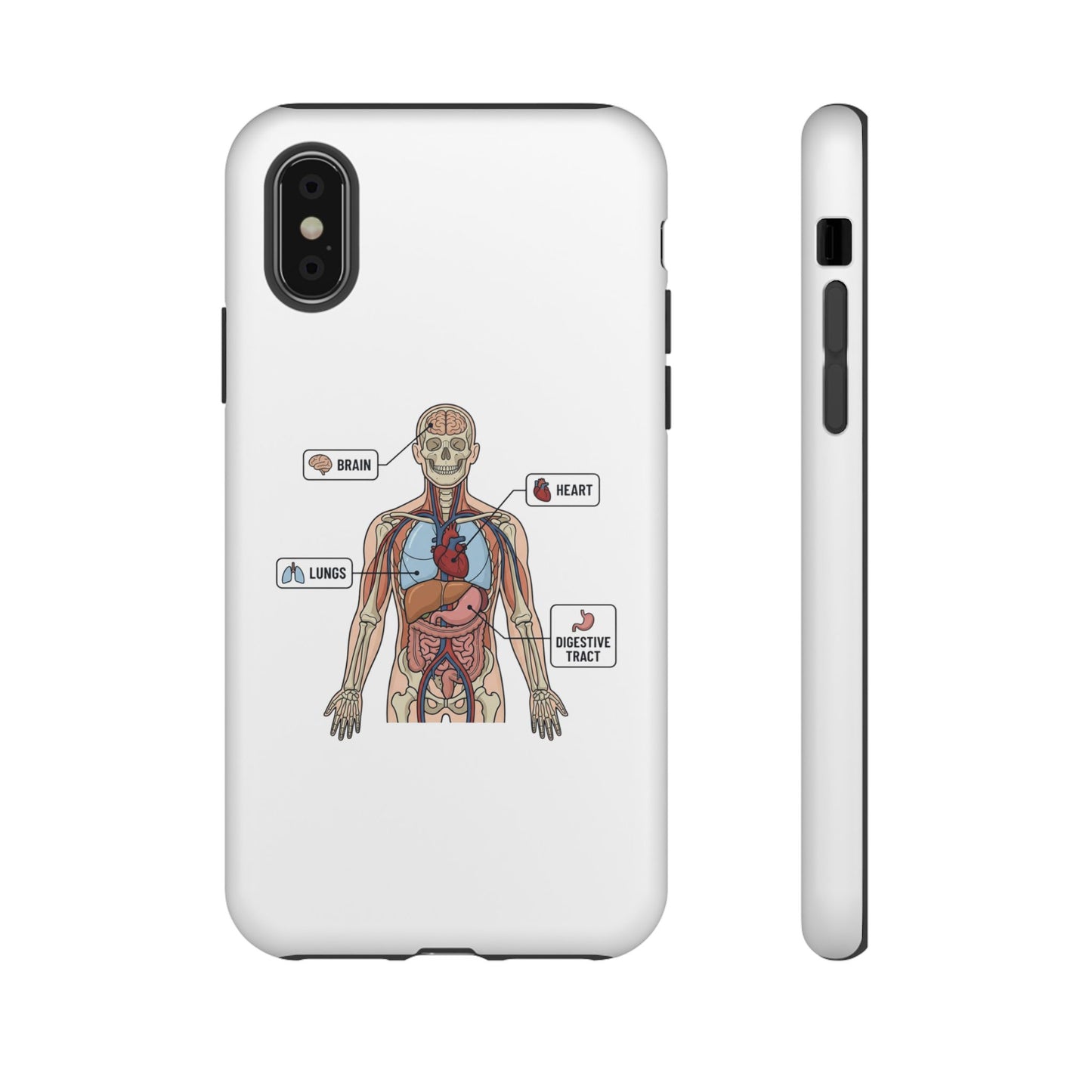 Anatomy Case — Medical Student Human Anatomy Study Aid