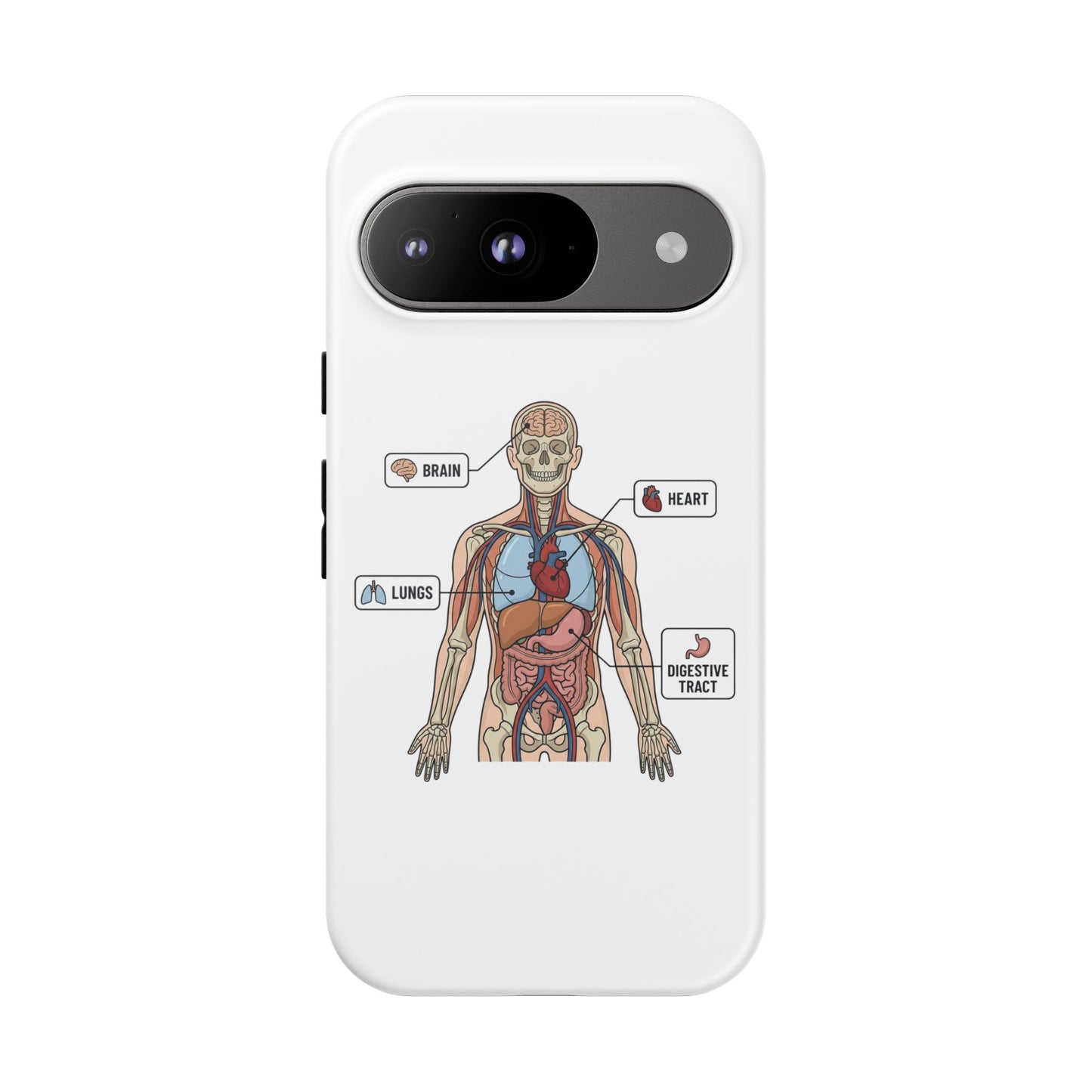 Anatomy Case — Medical Student Human Anatomy Study Aid