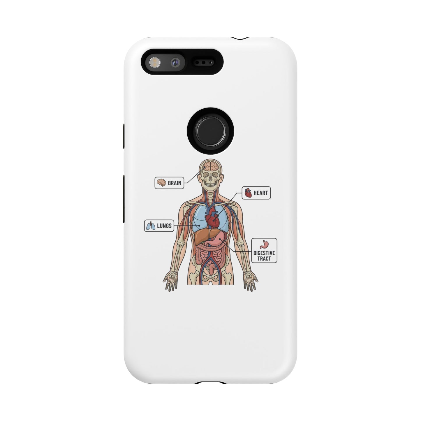 Anatomy Case — Medical Student Human Anatomy Study Aid