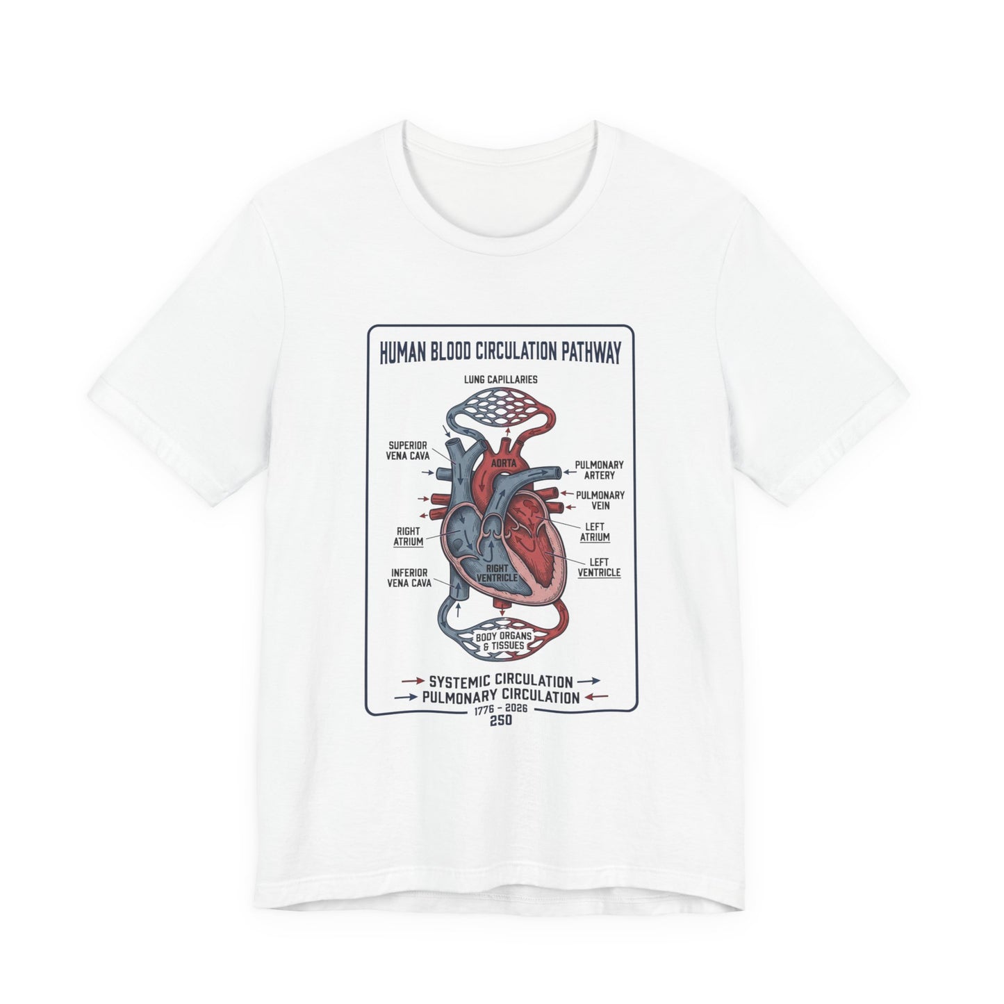 Human Blood Circulation Diagram Tee | 250th 4th of July Patriotic Anatomy