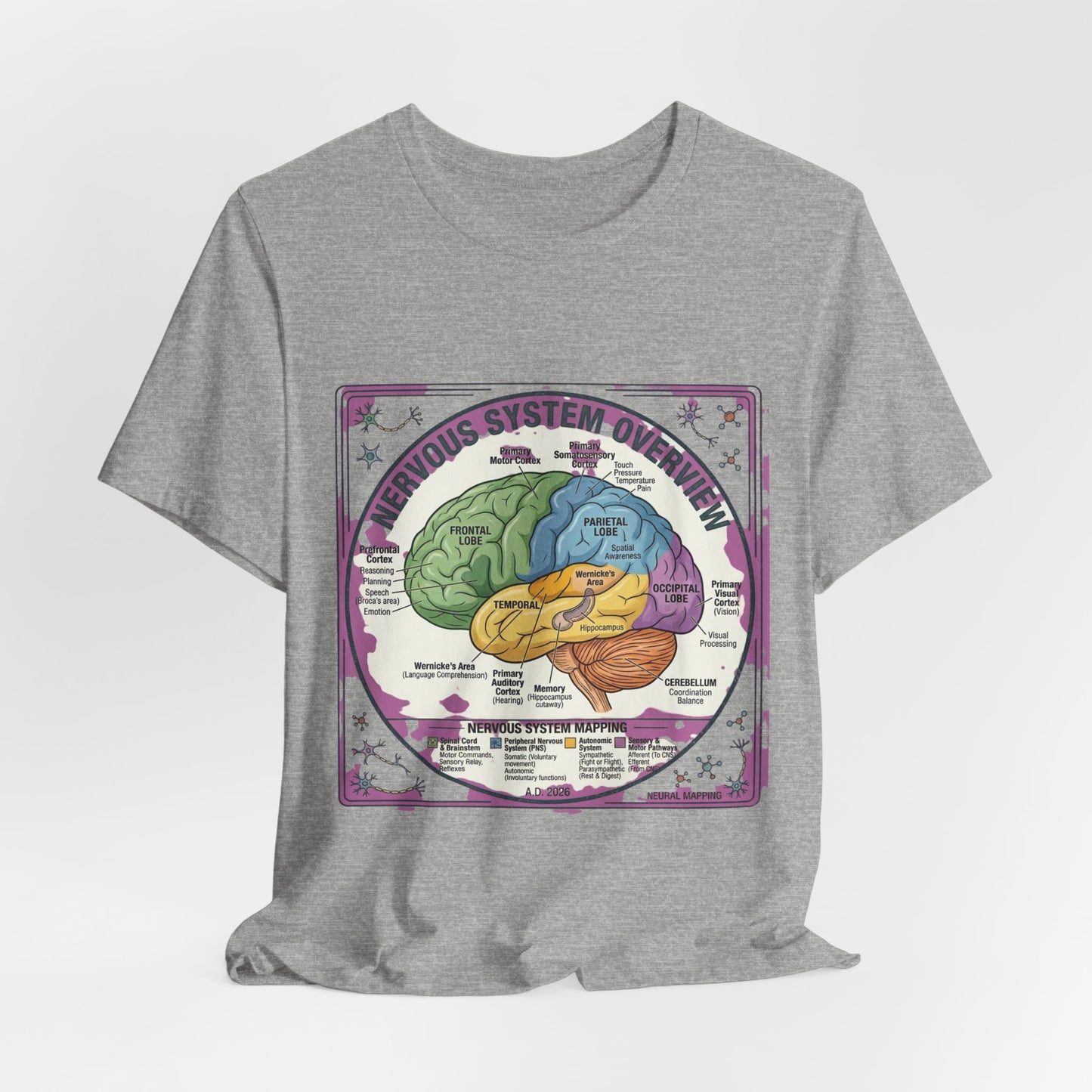 Brain Anatomy Diagram Tee | 250th Independence Day, Patriotic Milestone