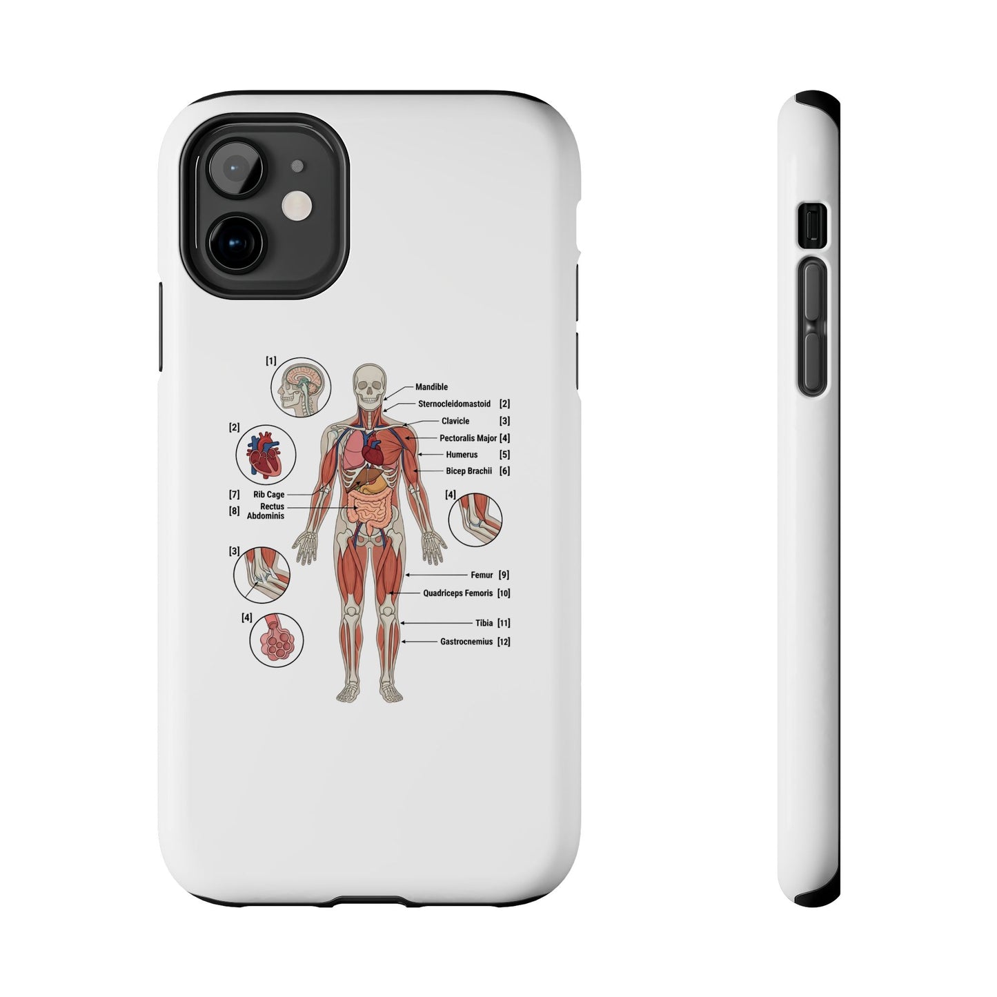Anatomy Study Phone Case — Human Anatomy Diagram for Medical Students
