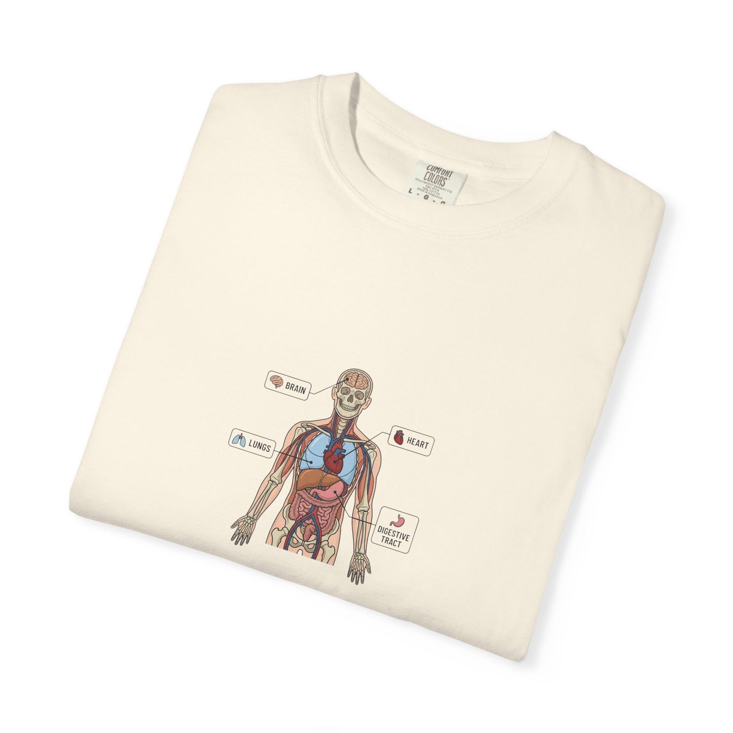 Human Anatomy Diagram T-Shirt — Medical Student Anatomy Tee