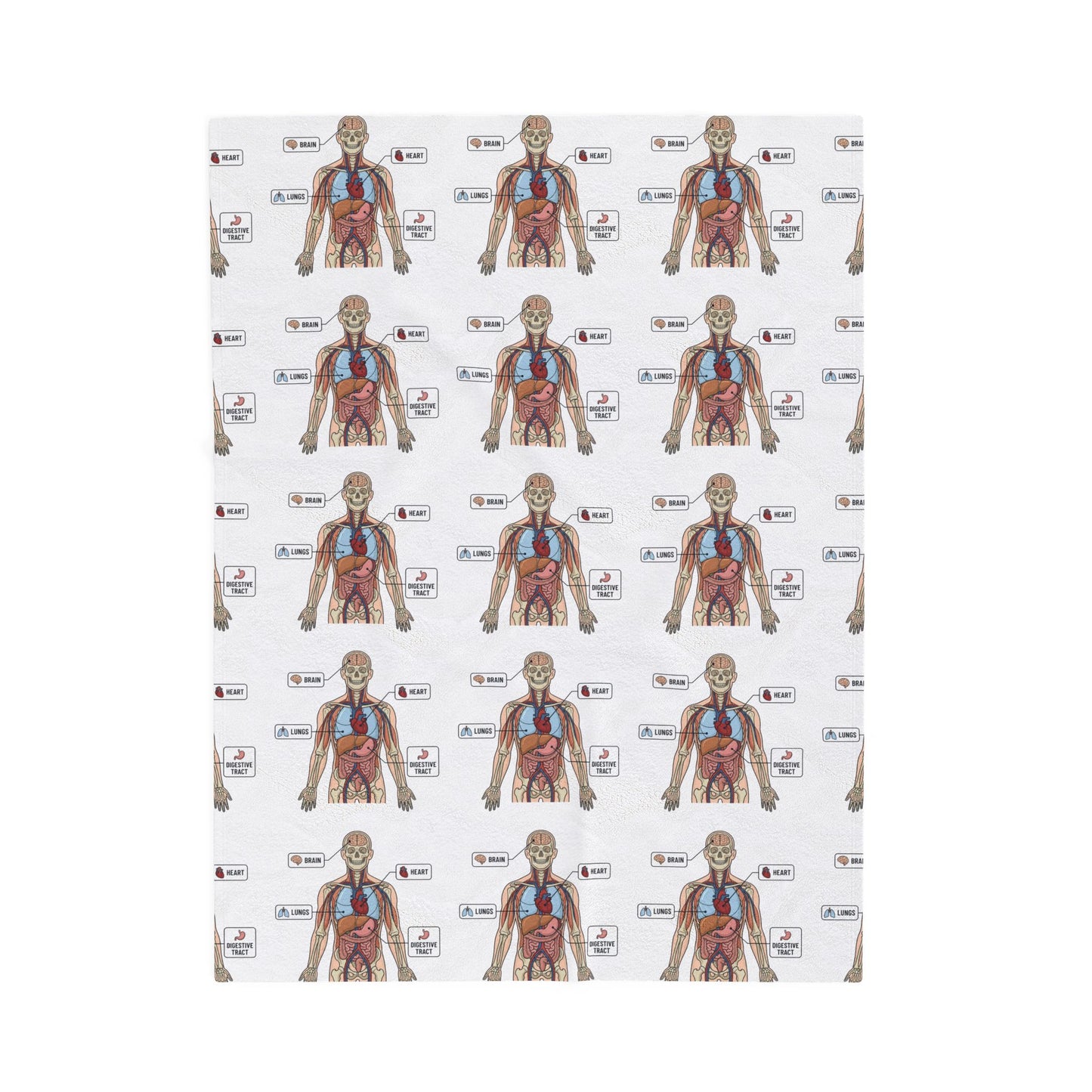 Anatomy Study Velveteen Plush Blanket — Human Anatomy Diagram for Medical Students