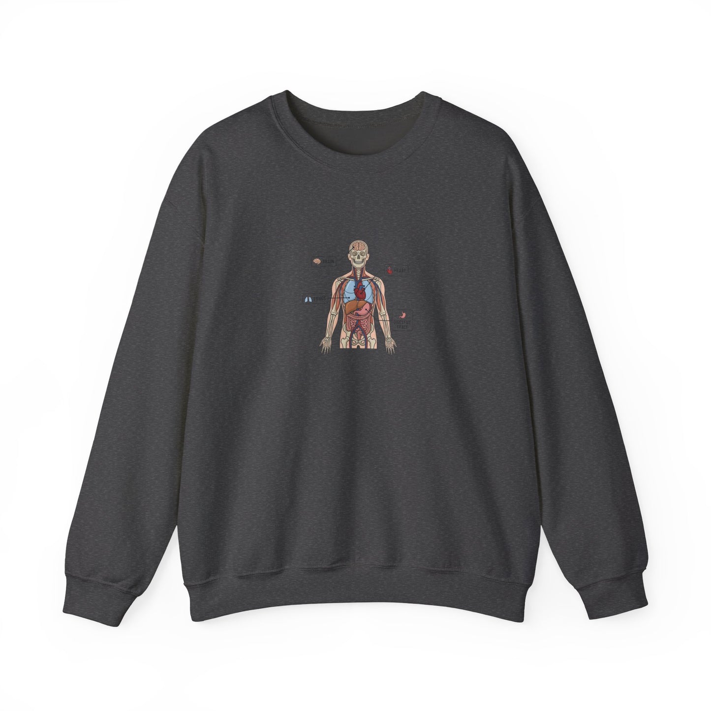 Anatomy Study Crewneck Sweatshirt — Human Anatomy Diagram for Medical Students