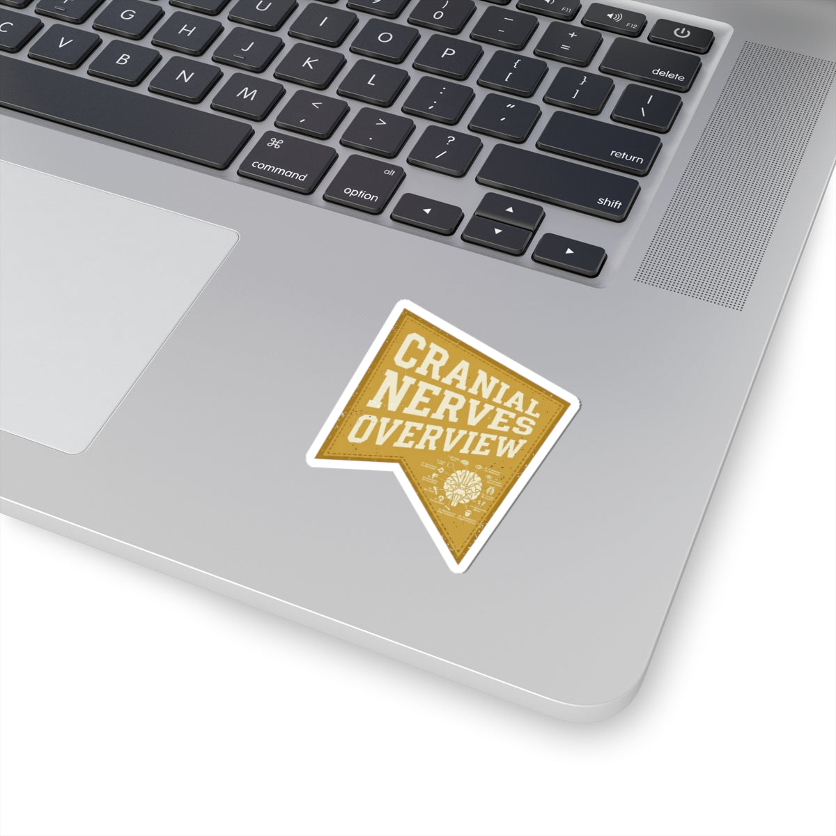 Retro Tiger Patch Sticker | Easy Tiger, Vacation Vibes