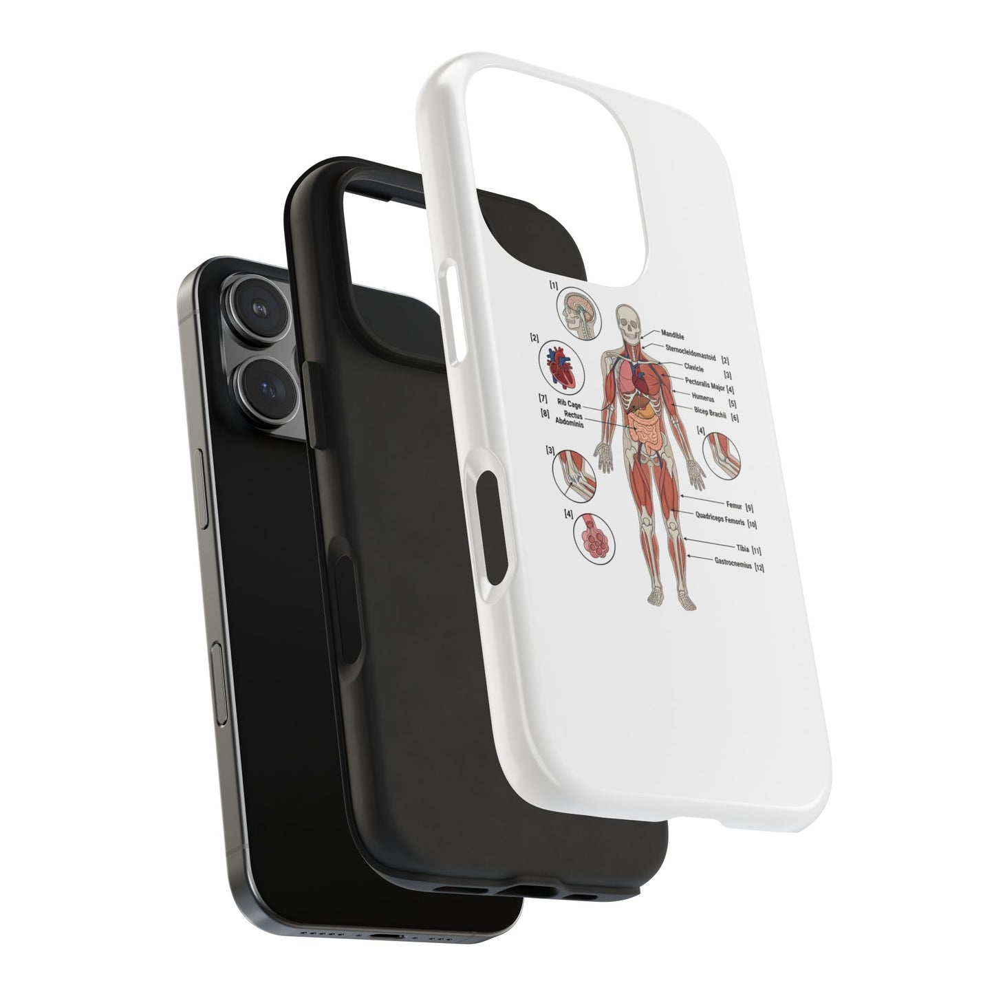 Anatomy Study Phone Case — Human Anatomy Diagram for Medical Students