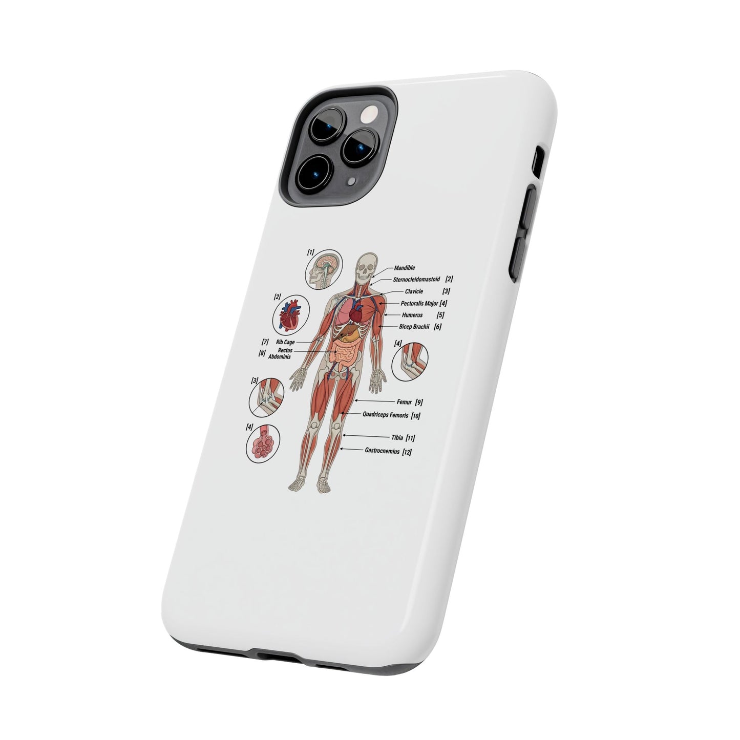 Anatomy Study Phone Case — Human Anatomy Diagram for Medical Students