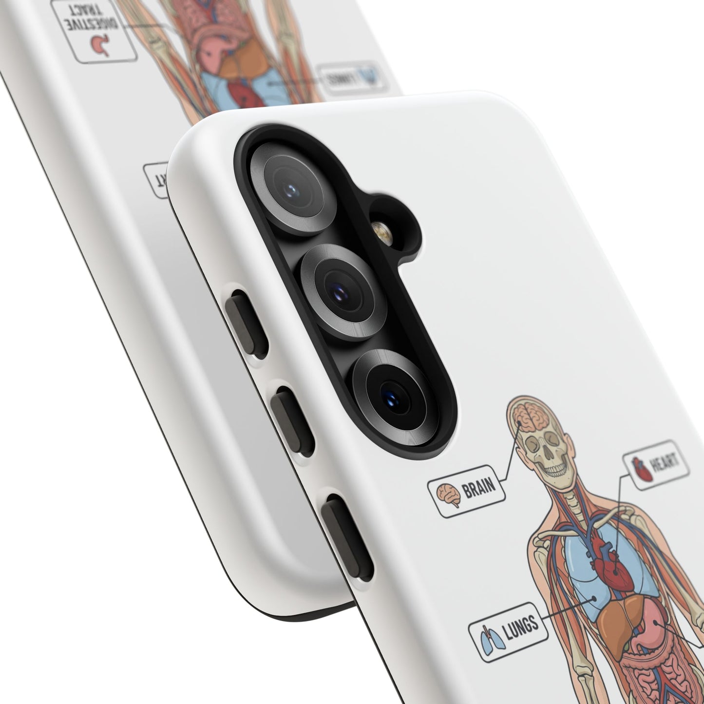 Anatomy Case — Medical Student Human Anatomy Study Aid