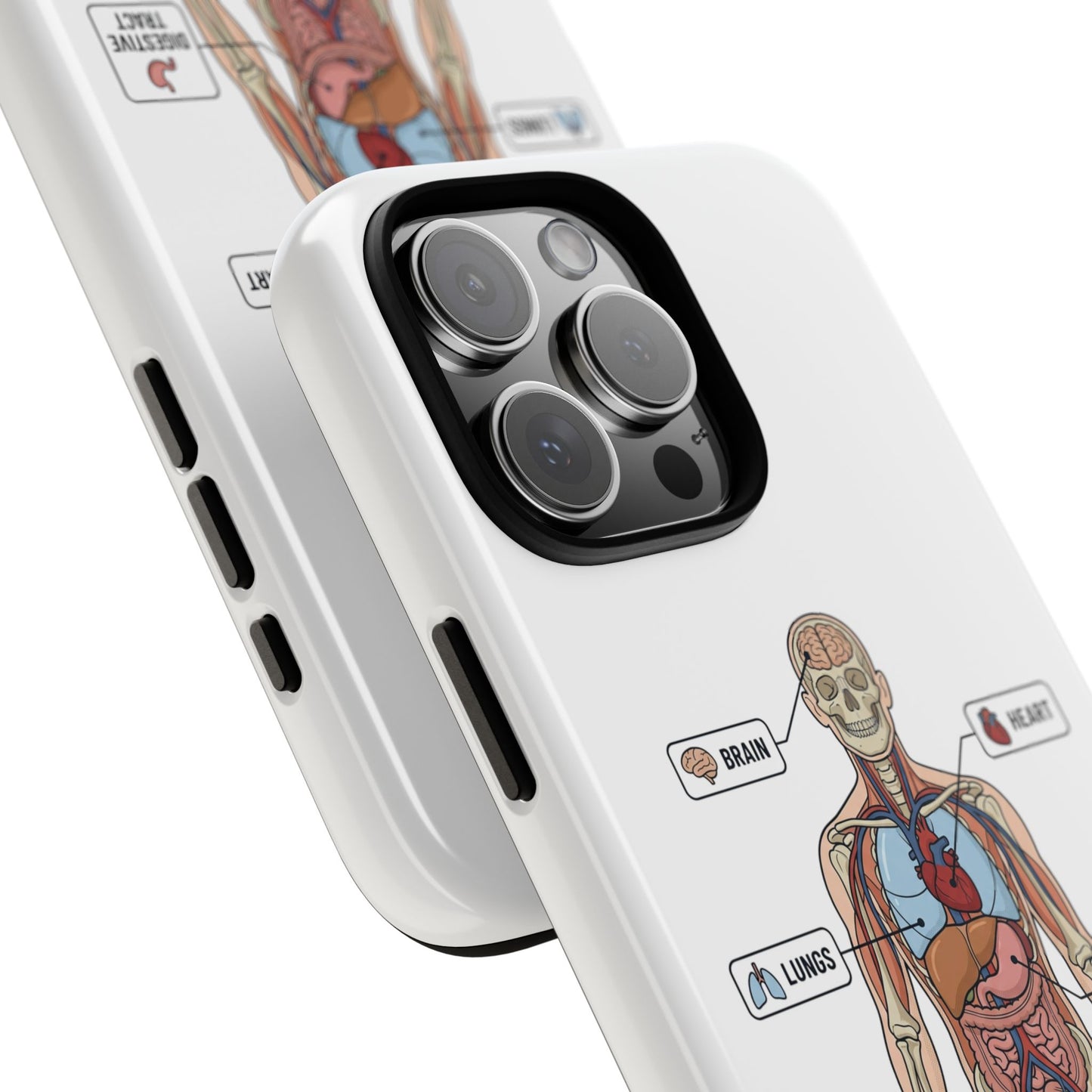 Anatomy Case — Medical Student Human Anatomy Study Aid