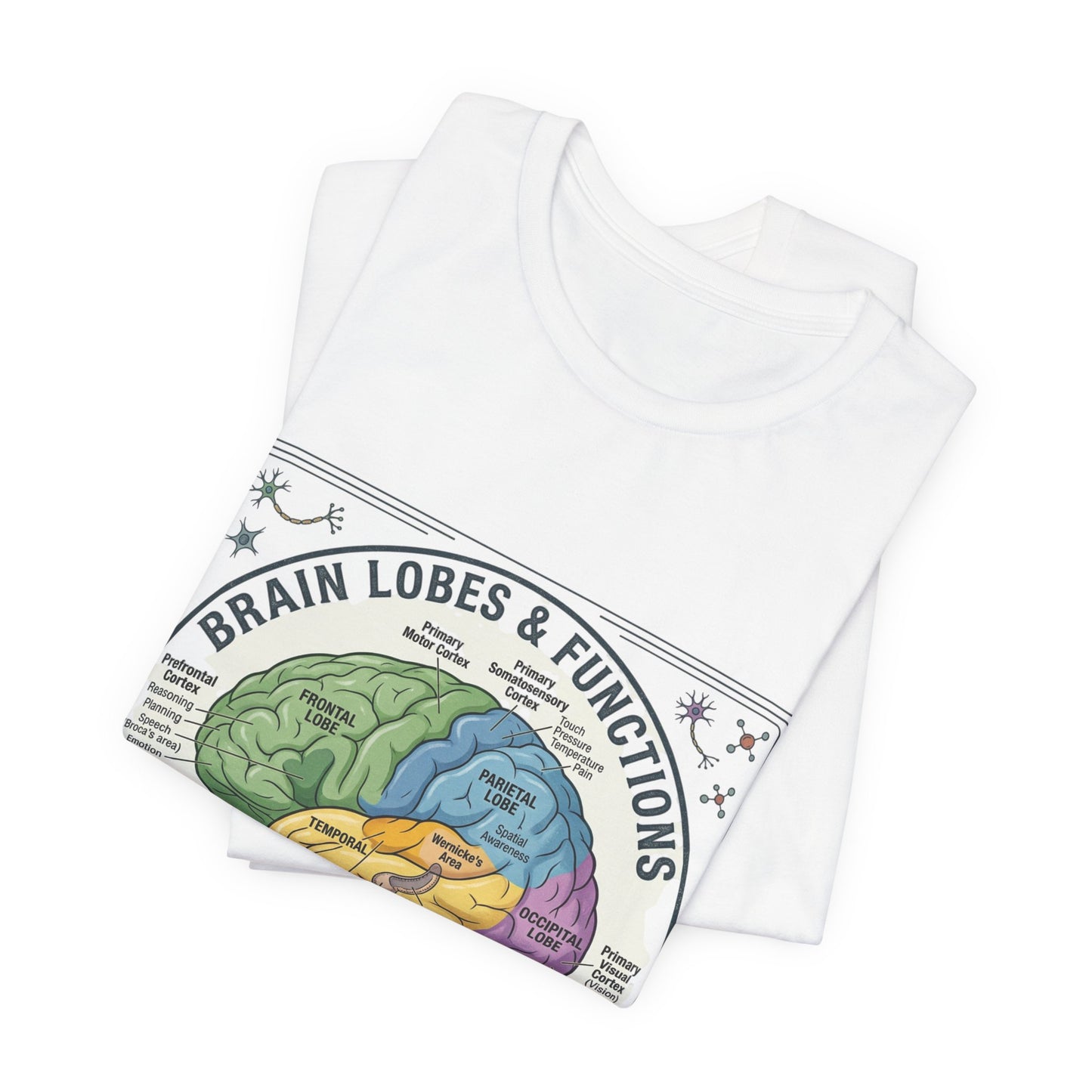 Brain Lobes & Functions T-Shirt | 250th Fourth of July, Patriotic Milestone