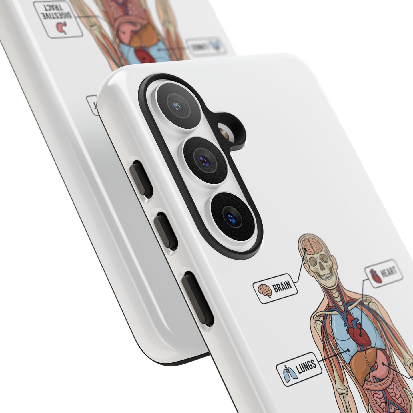 Anatomy Case — Medical Student Human Anatomy Study Aid