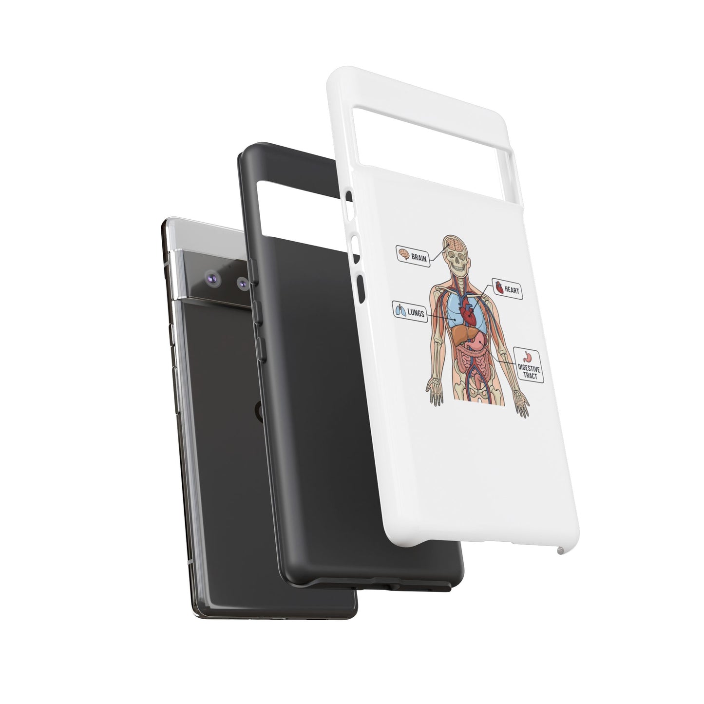 Anatomy Case — Medical Student Human Anatomy Study Aid