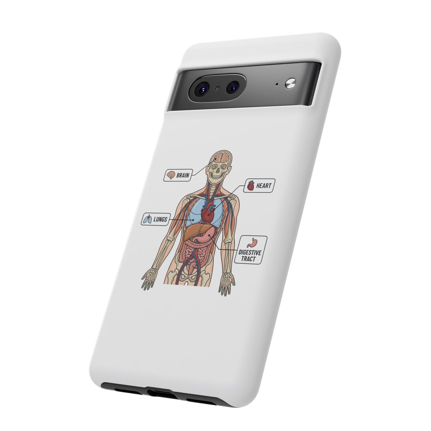 Anatomy Case — Medical Student Human Anatomy Study Aid
