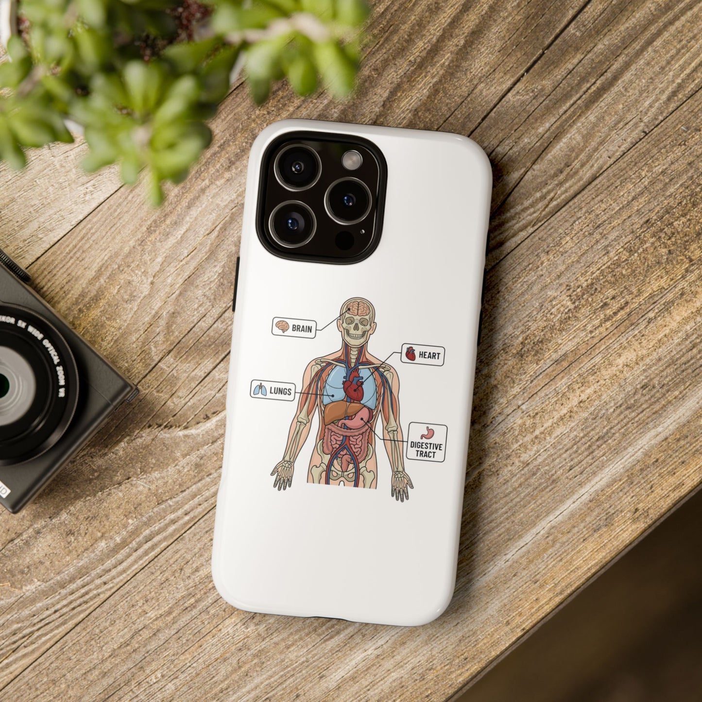Anatomy Case — Medical Student Human Anatomy Study Aid