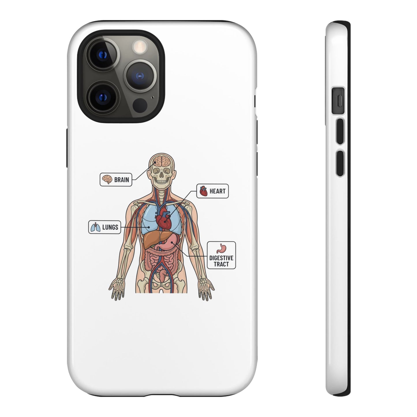 Anatomy Case — Medical Student Human Anatomy Study Aid