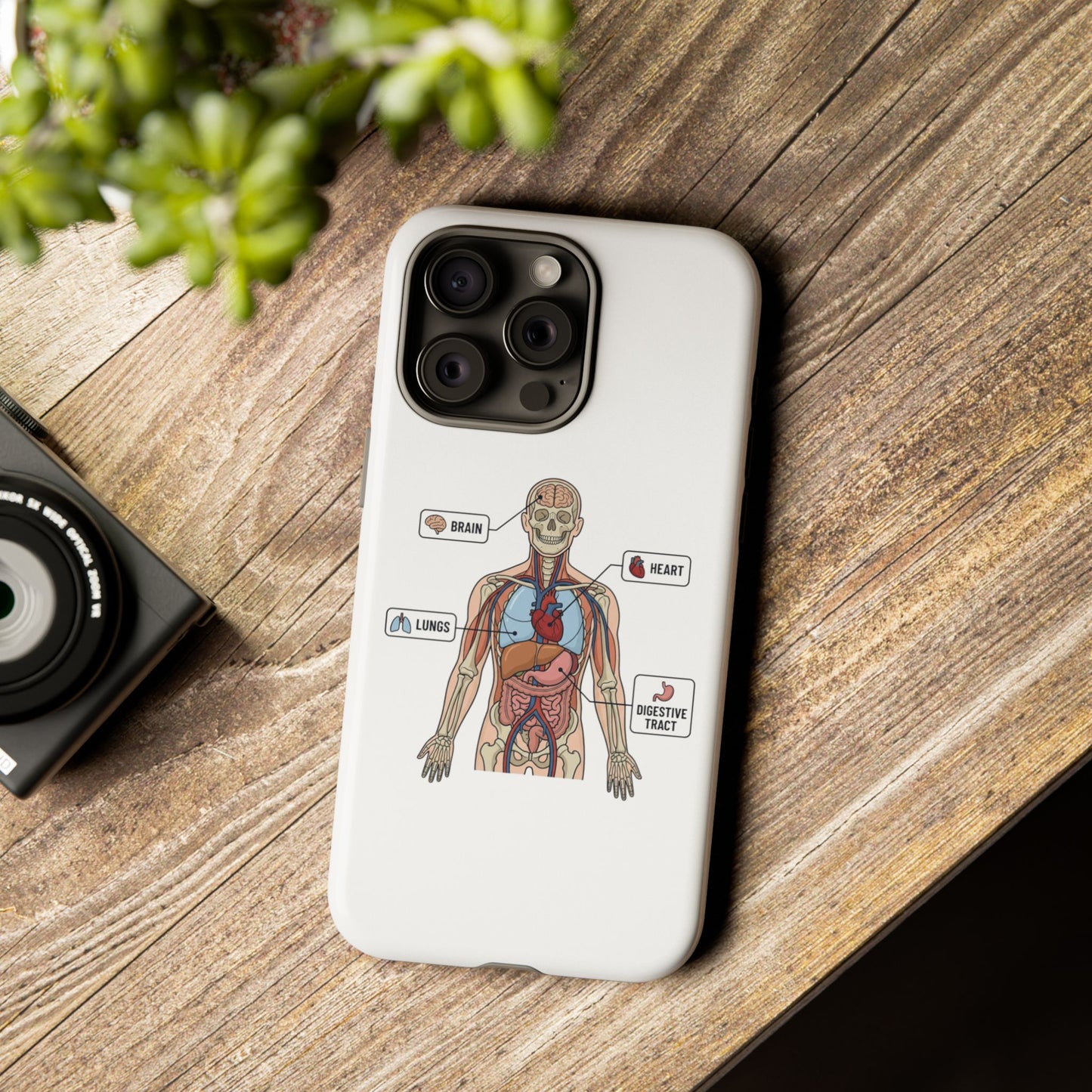 Anatomy Case — Medical Student Human Anatomy Study Aid