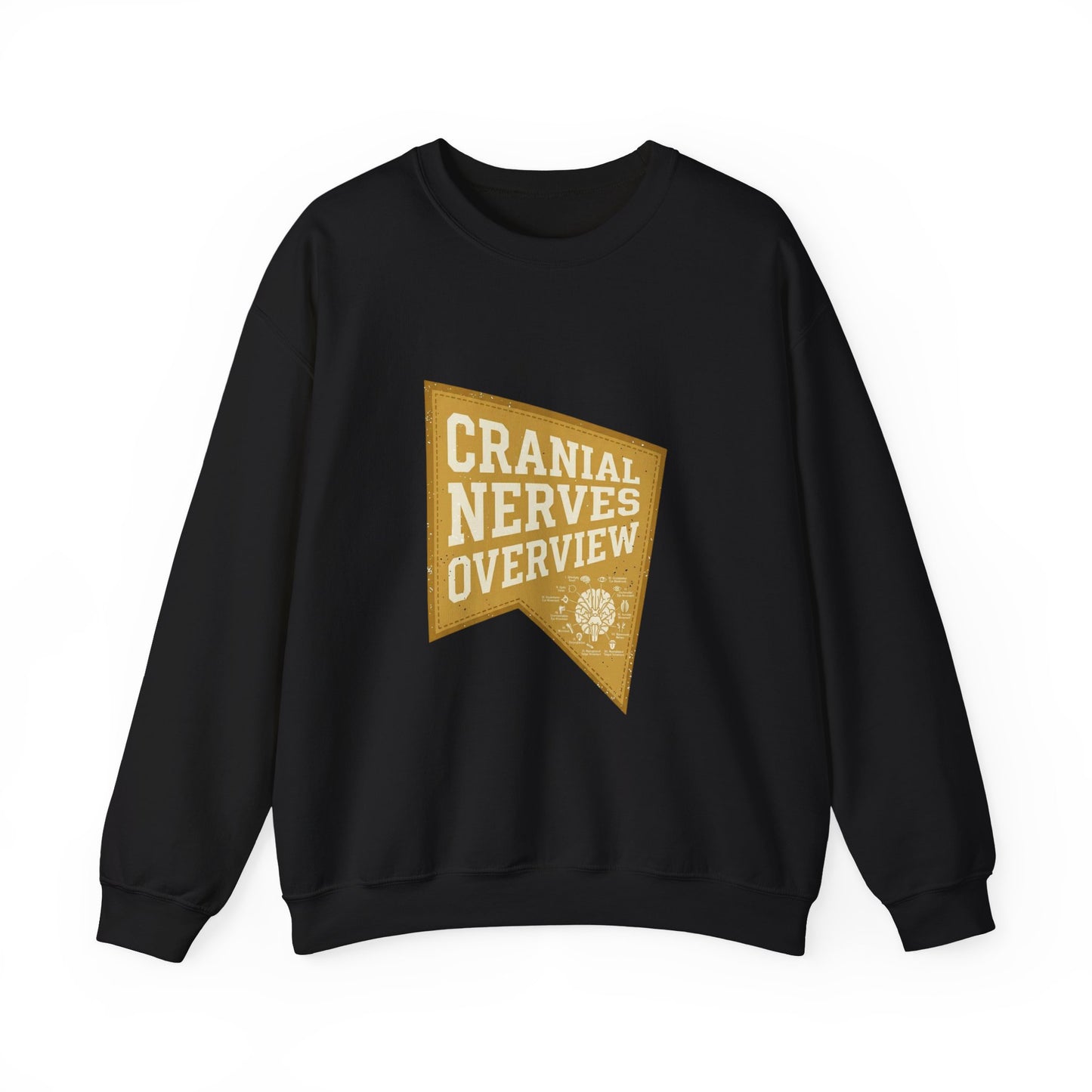 Cranial Nerves Overview Sweatshirt | Retro Anatomy, Easy Tiger Vibe