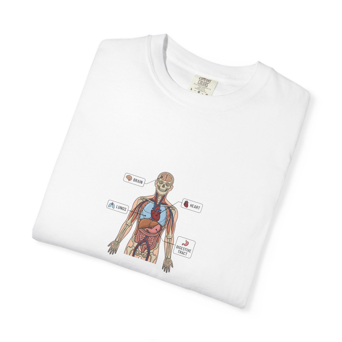 Human Anatomy Diagram T-Shirt — Medical Student Anatomy Tee