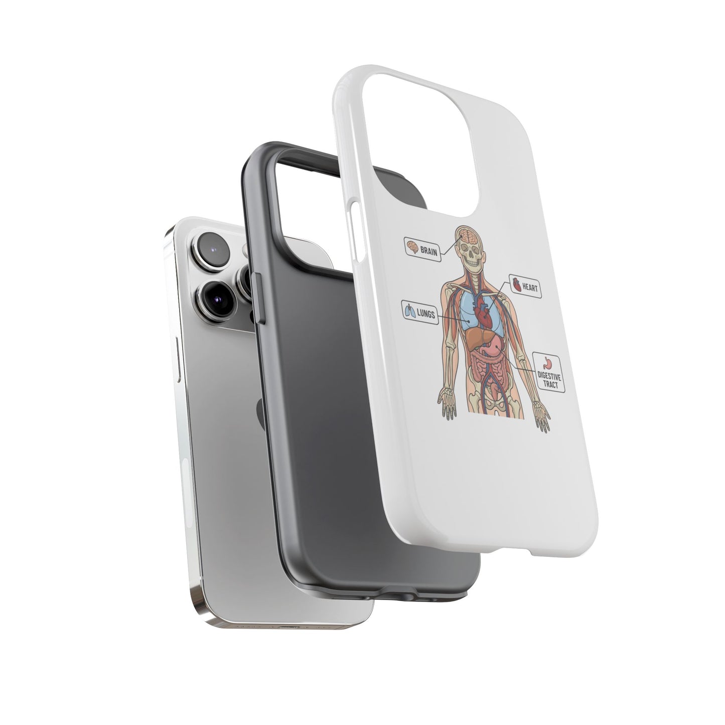 Anatomy Case — Medical Student Human Anatomy Study Aid