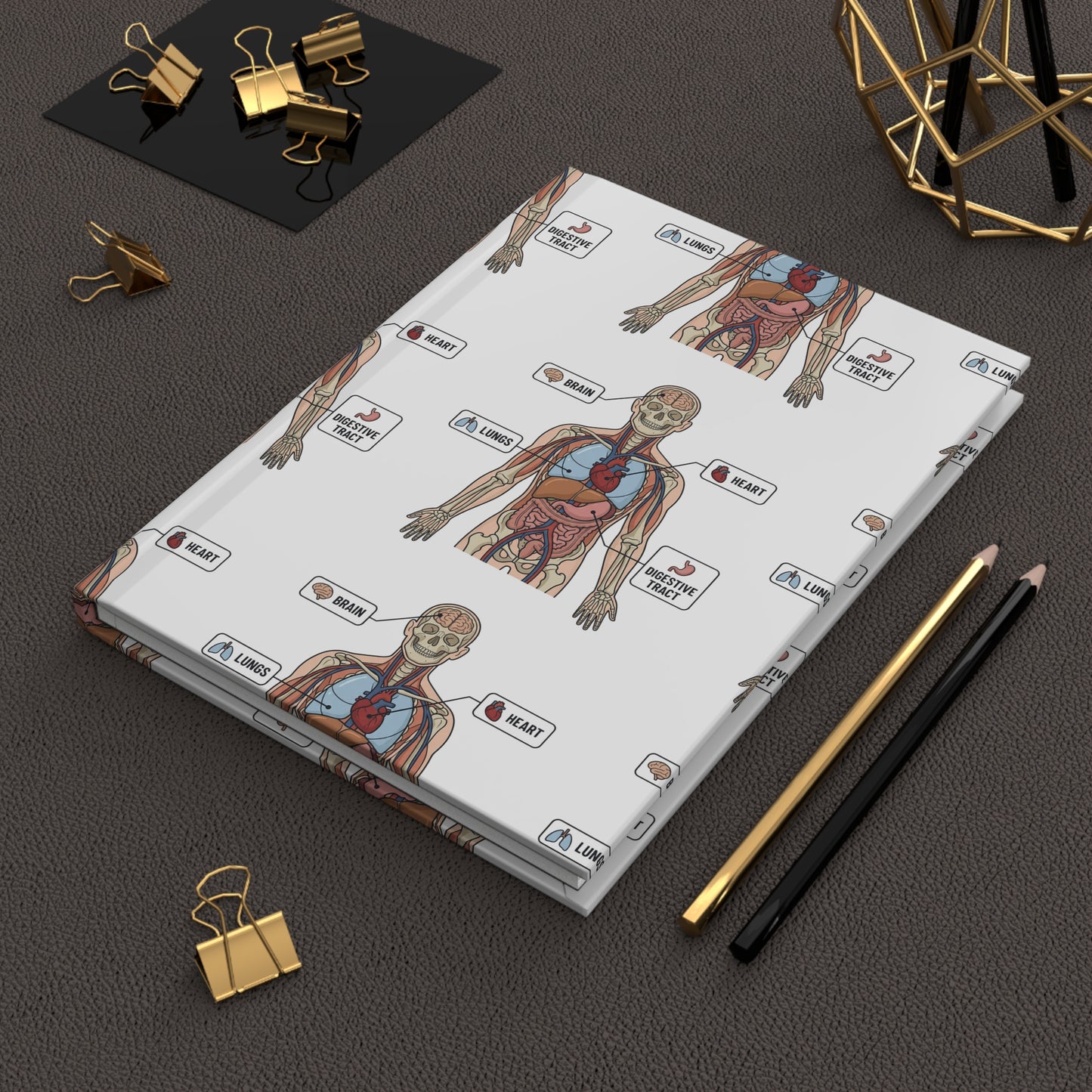 Human Anatomy Hardcover Journal — Medical Student Anatomy Notebook