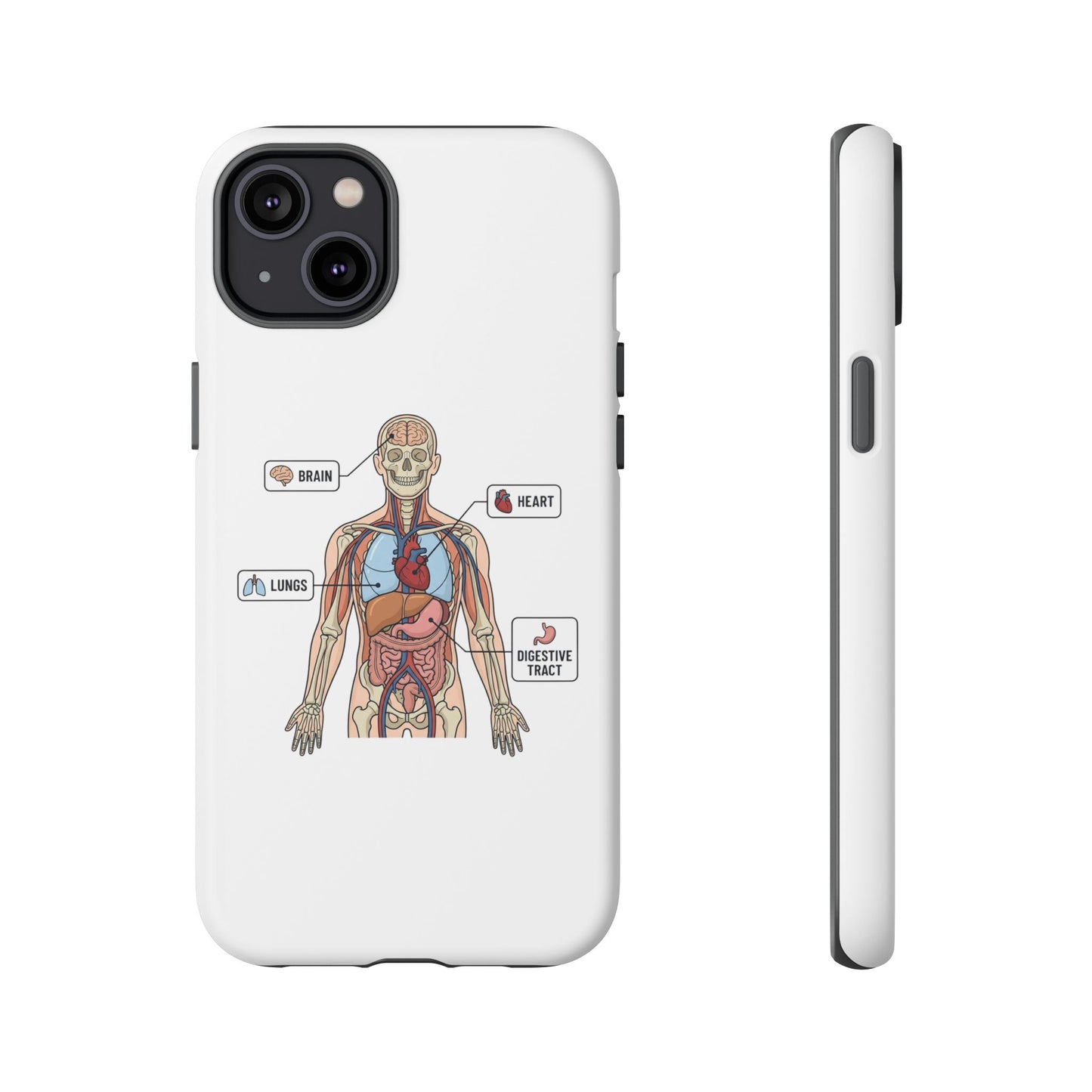 Anatomy Case — Medical Student Human Anatomy Study Aid