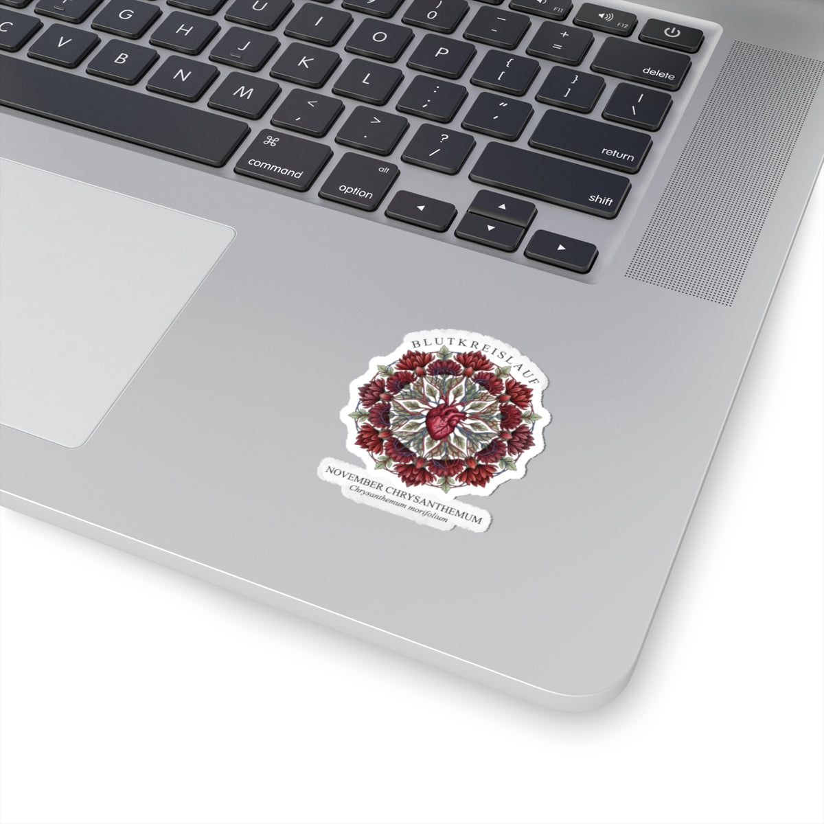 November Chrysanthemum Sticker | Birth Flower, Botanical Illustration