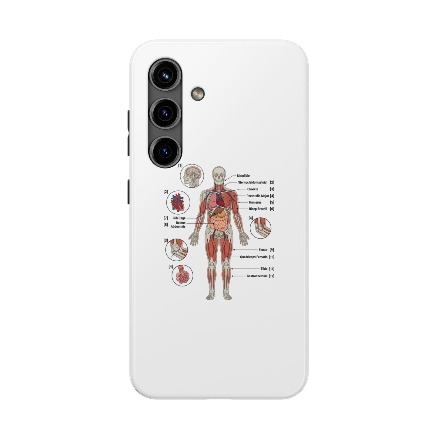 Anatomy Study Phone Case — Human Anatomy Diagram for Medical Students