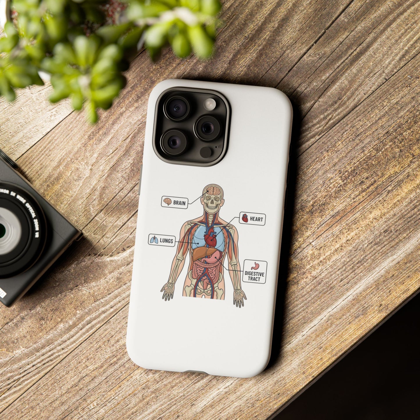 Anatomy Case — Medical Student Human Anatomy Study Aid