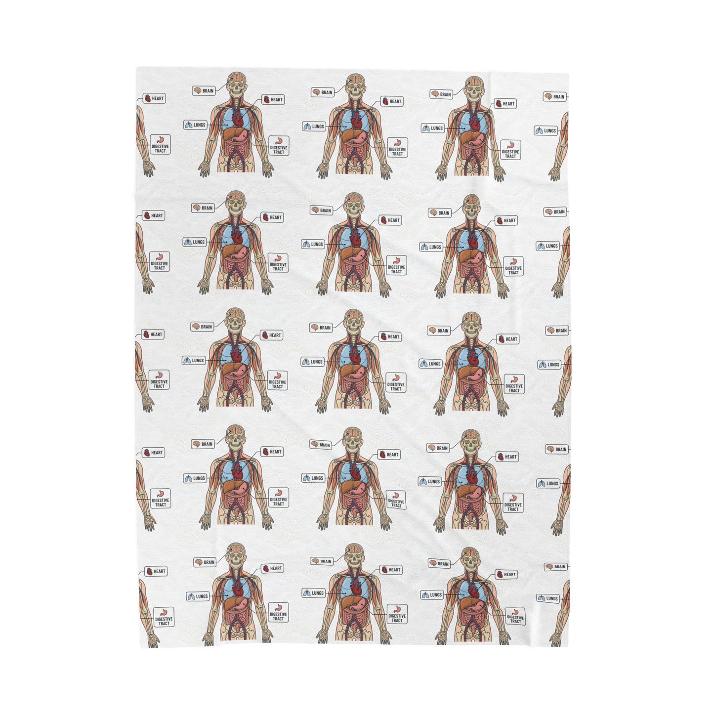 Anatomy Study Velveteen Plush Blanket — Human Anatomy Diagram for Medical Students