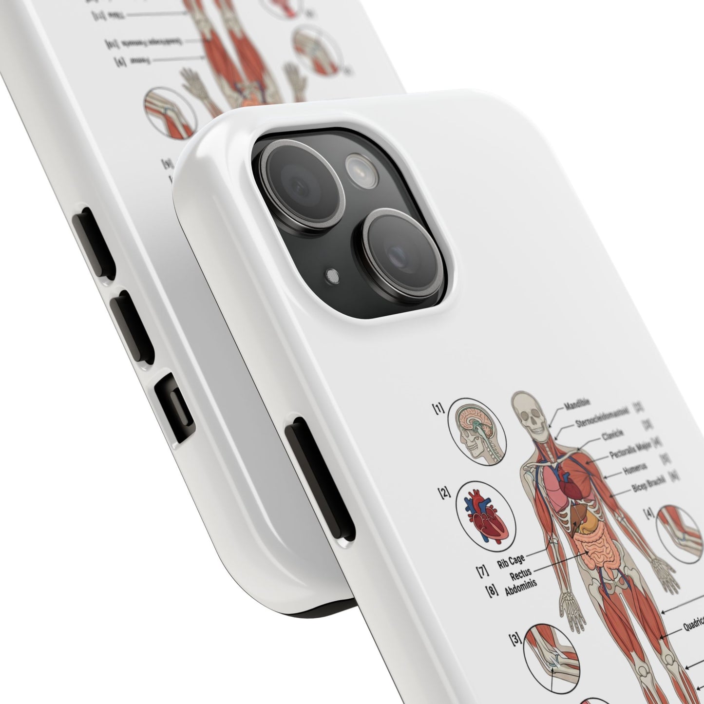 Anatomy Study Phone Case — Human Anatomy Diagram for Medical Students